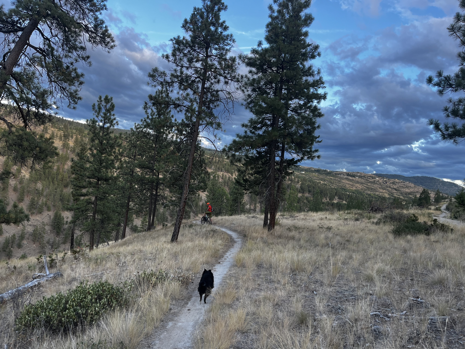 Senderismo local, a solo minutos de nuestra puerta.