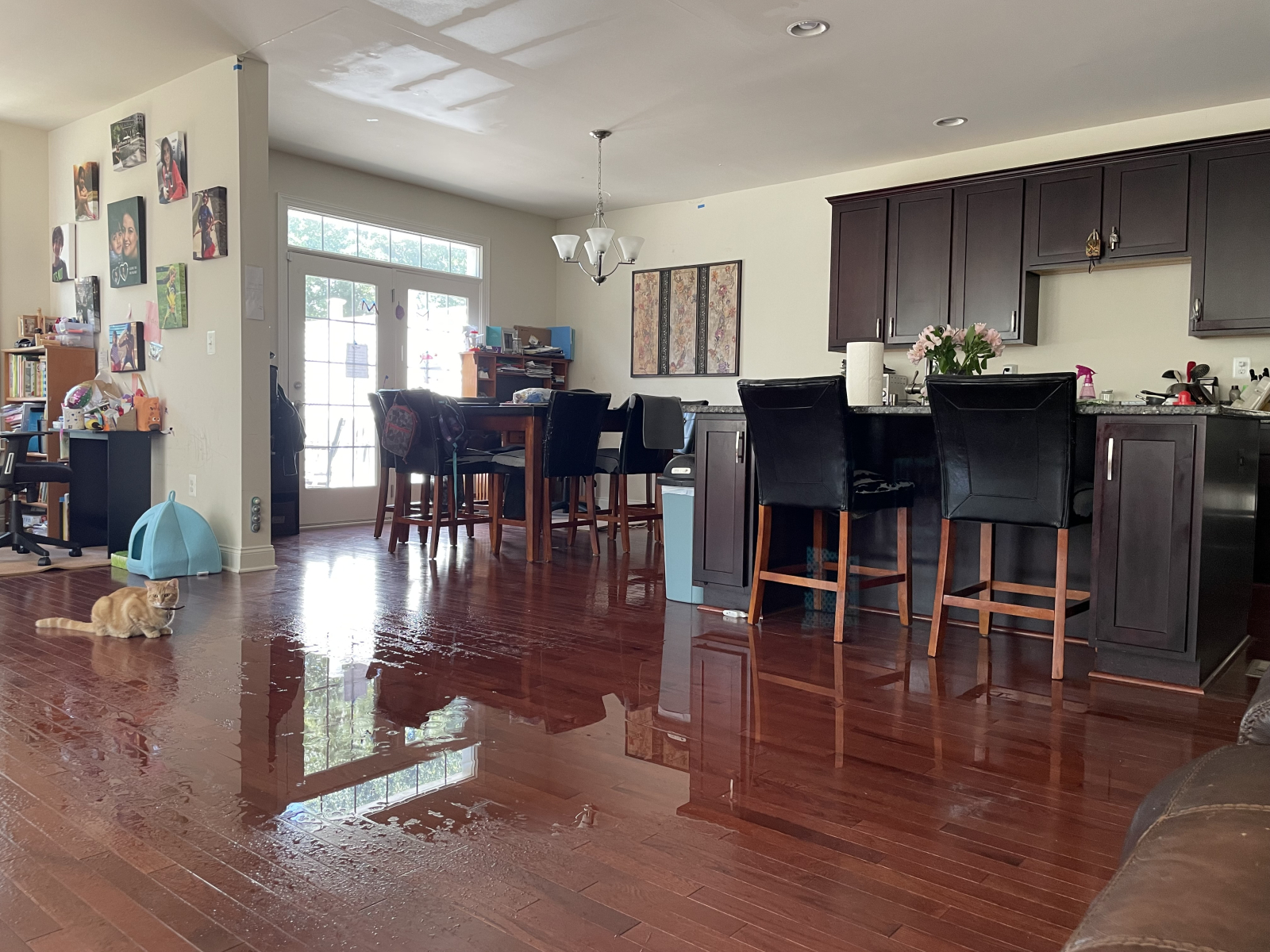 Korstmos, groot eiland, ontbijthoek met eettafel, en onze oranje kat genaamd Fanta.