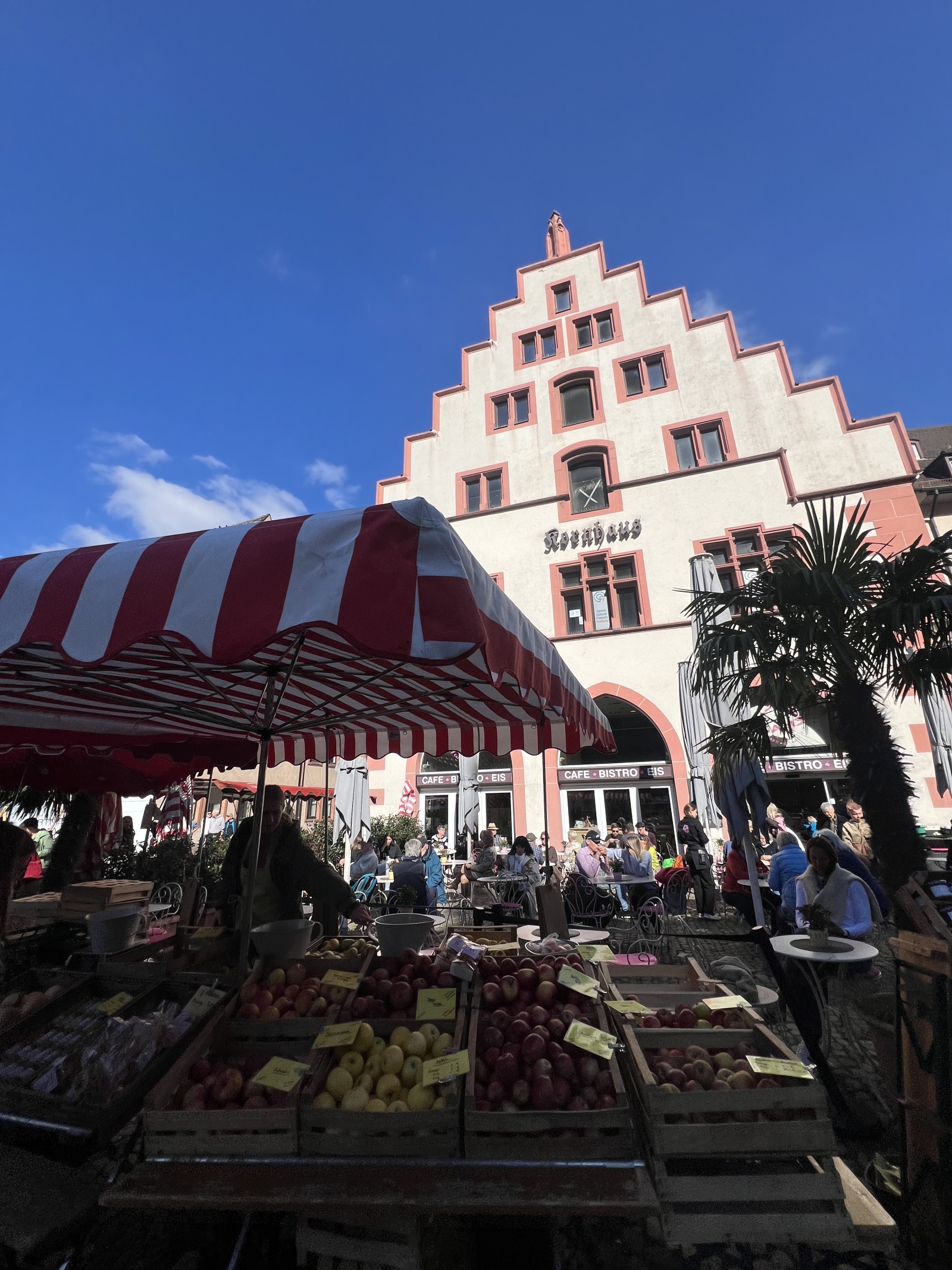 Zwischen dem Schwarzwald und den Weinbergen des Elsass
