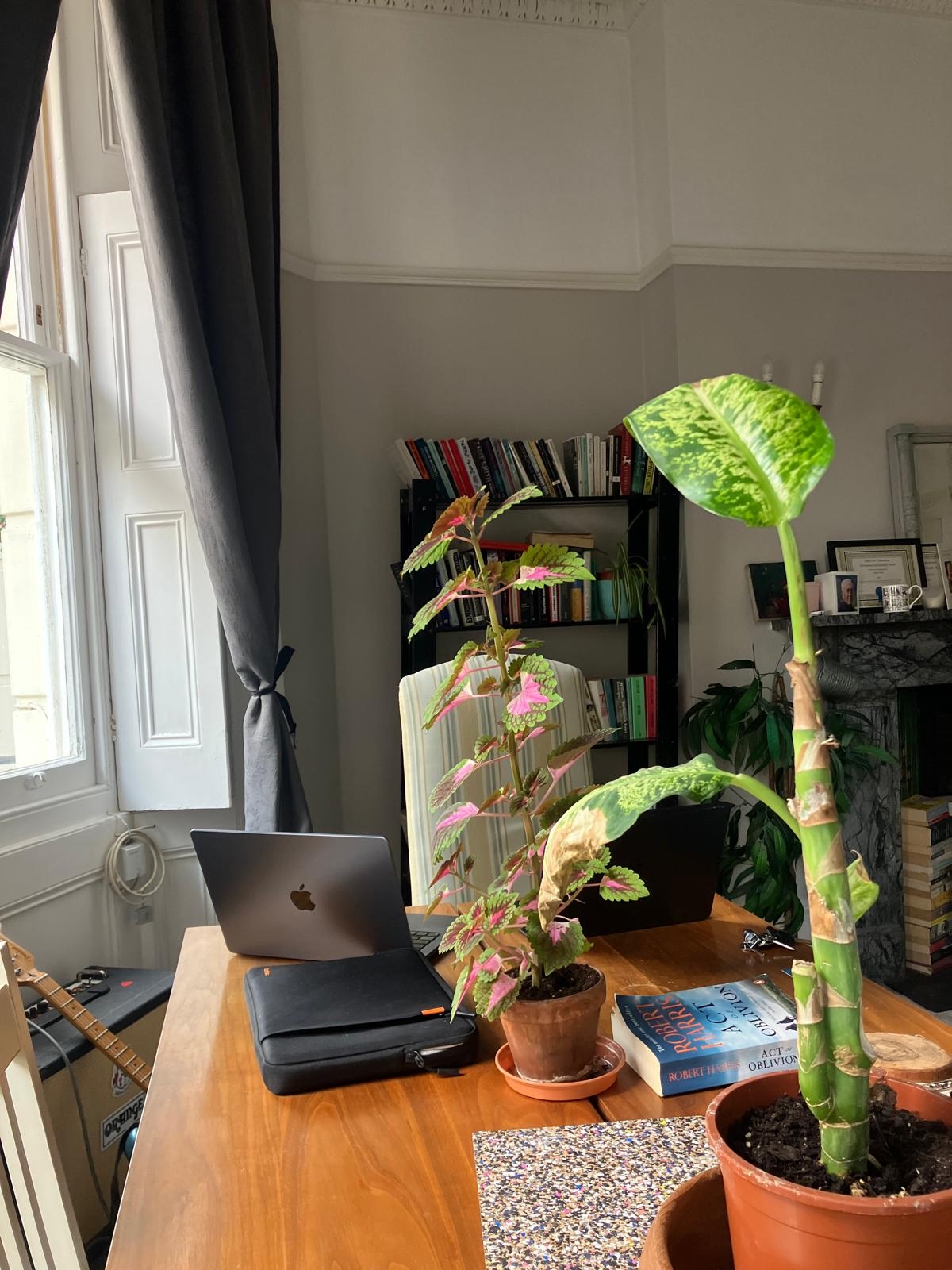 Beautiful, calm and well-located flat 5 minute walk from the sea in Brighton