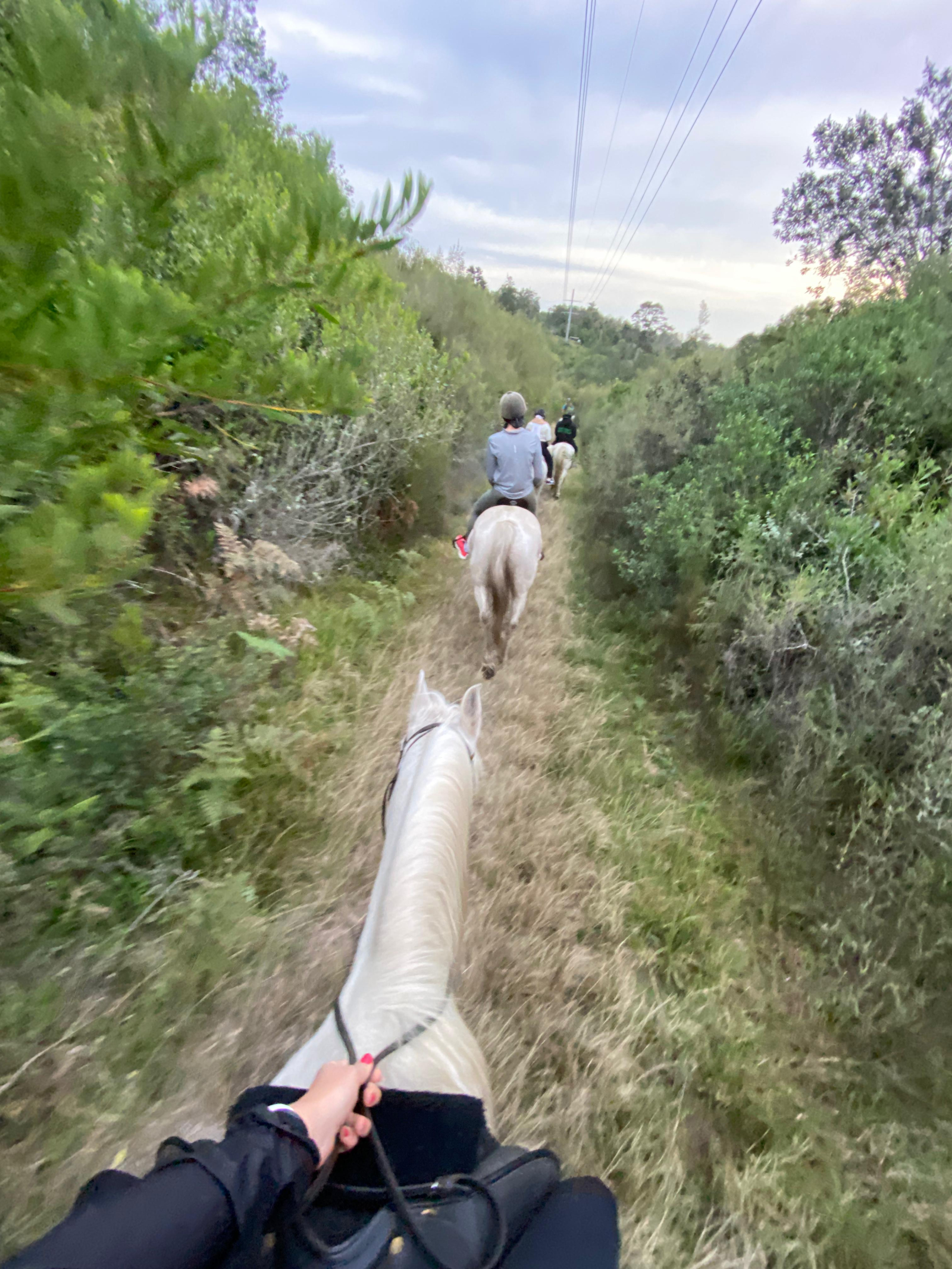 Passeios a cavalo para jovens e idosos!