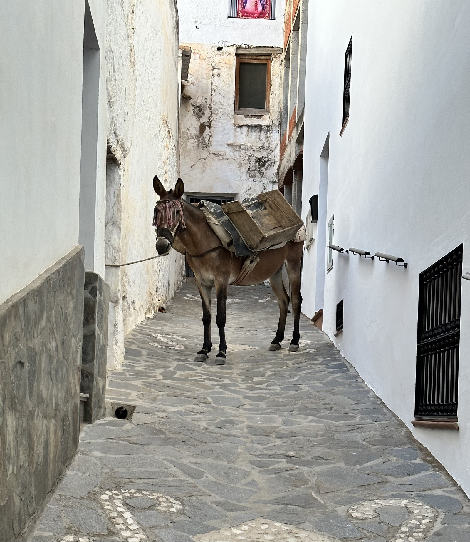 Casa a schiera nel villaggio montano andalo