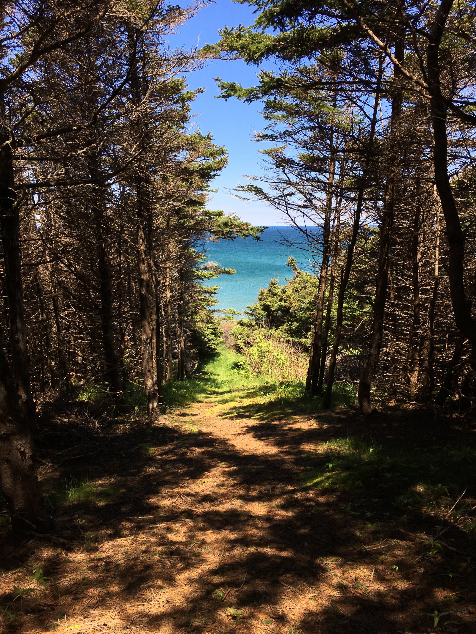 Path to our beach access at the bottom of the hill