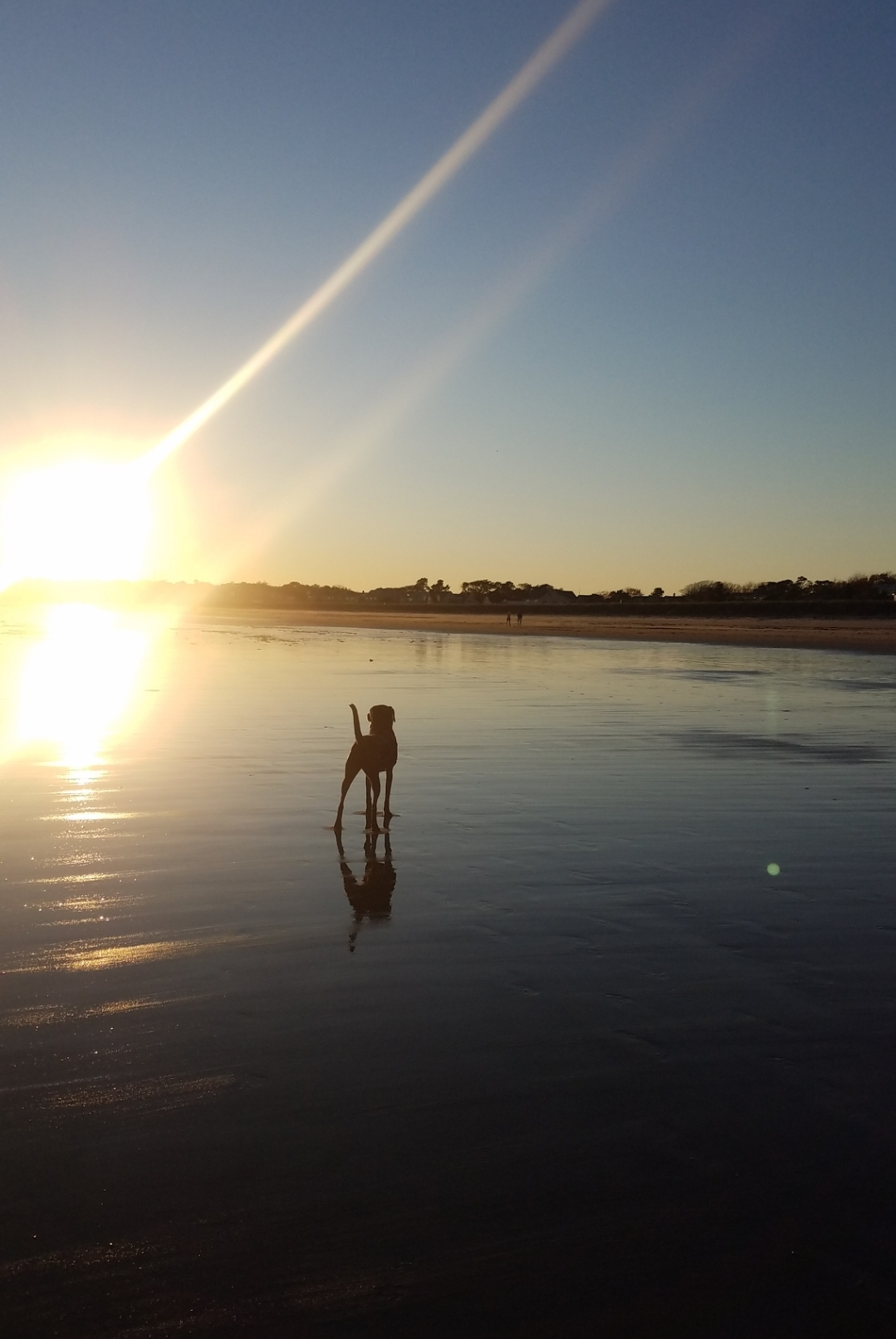 Unser (und möglicherweise deiner?) glücklicher Ort: 7 Meilen Sandstrand sind eine 20-minütige Autofa ...