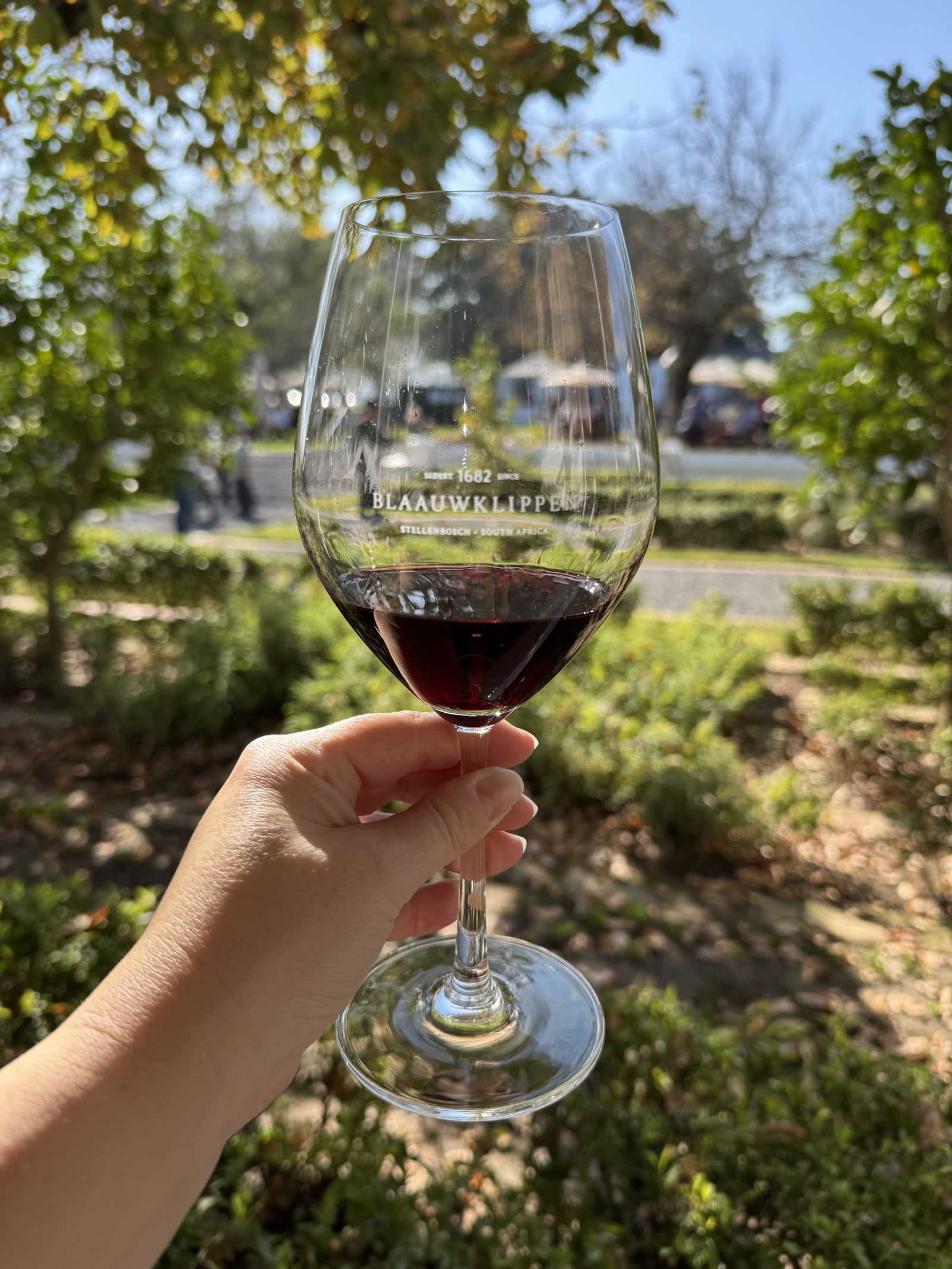 Desde nuestra casa se puede llegar fácilmente a muchas fincas vinícolas magníficas