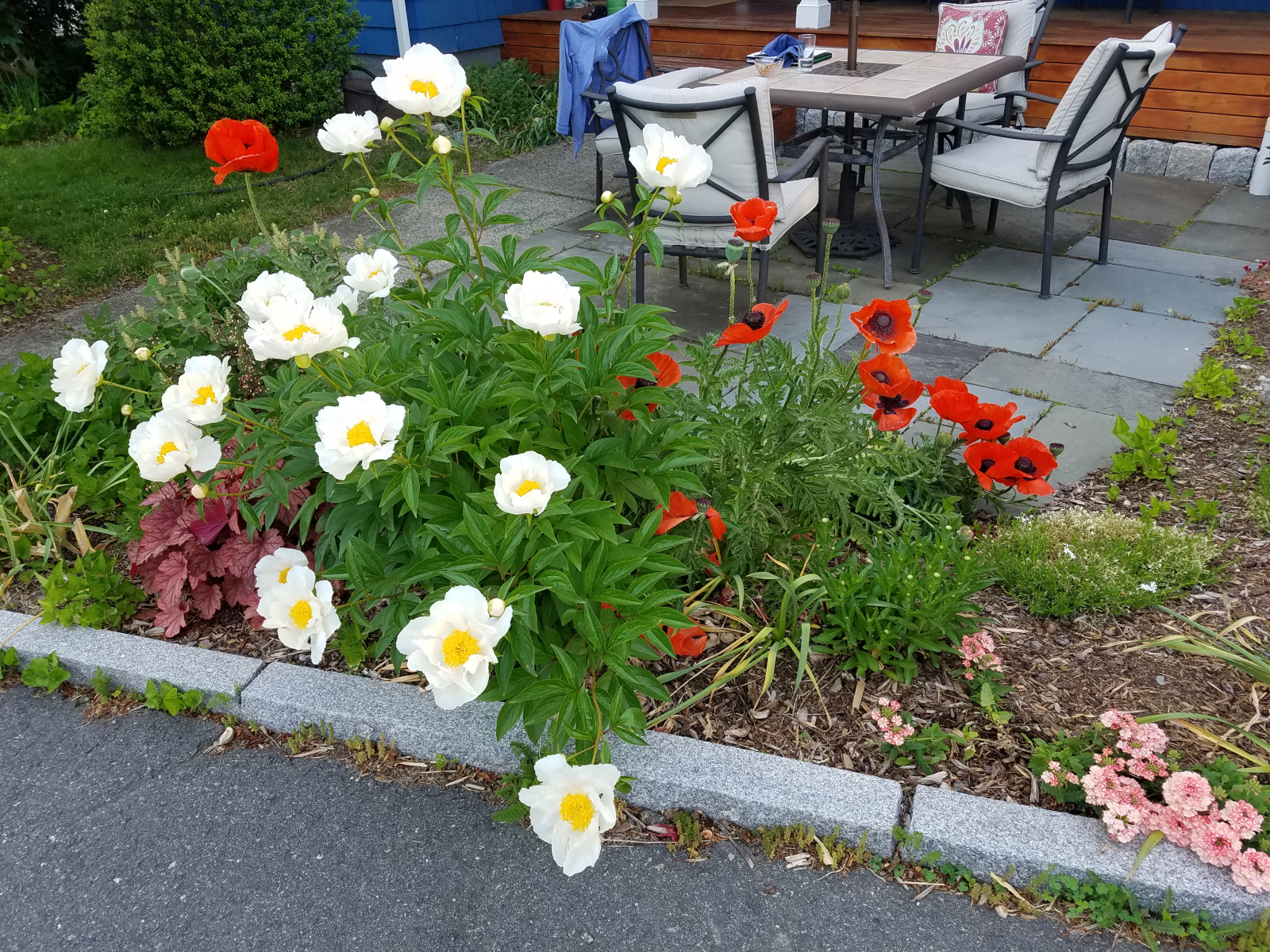 Southern Terrace. More pics coming soon.