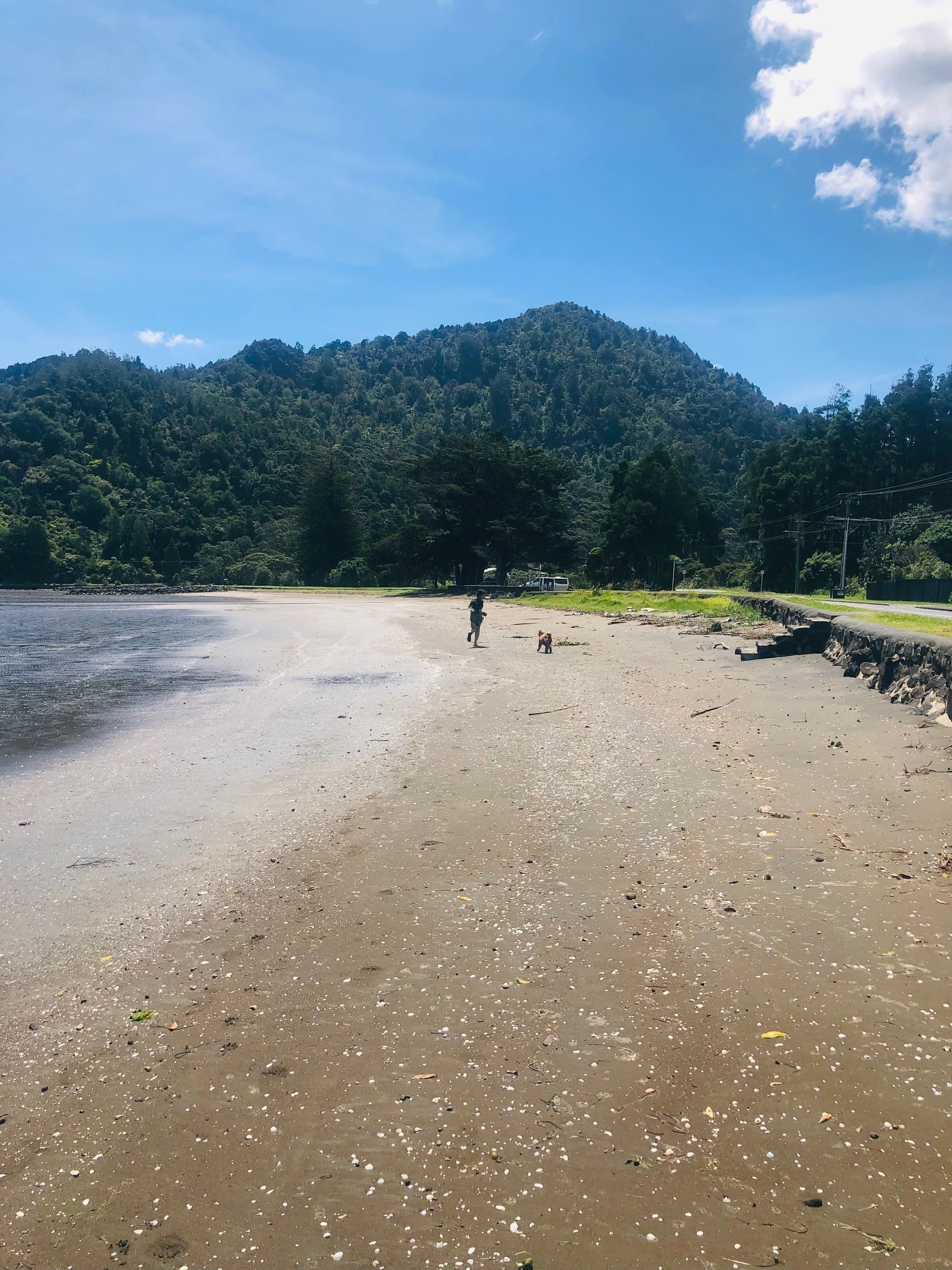 Huia Beach - 10 minute drive