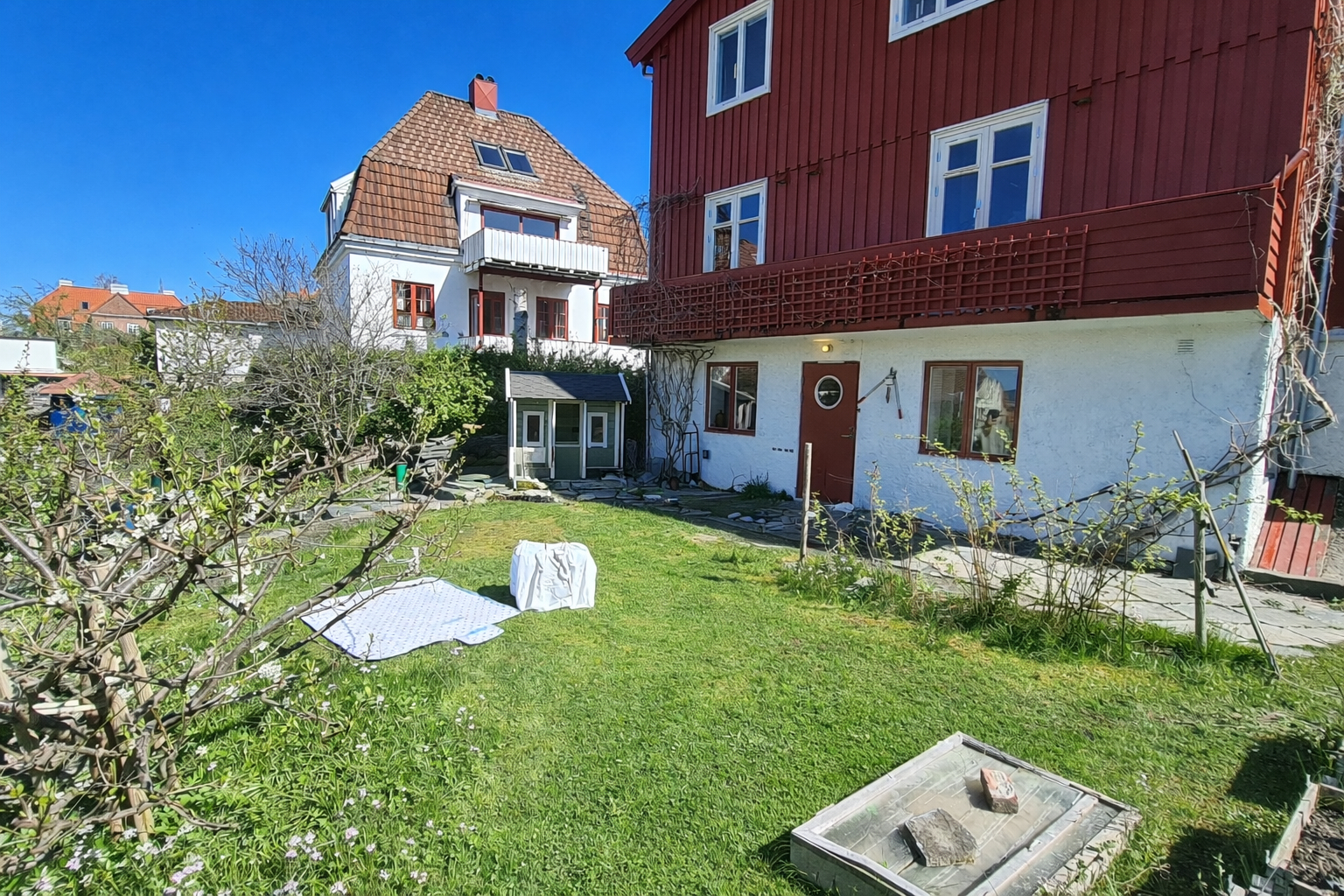 The garden in spring