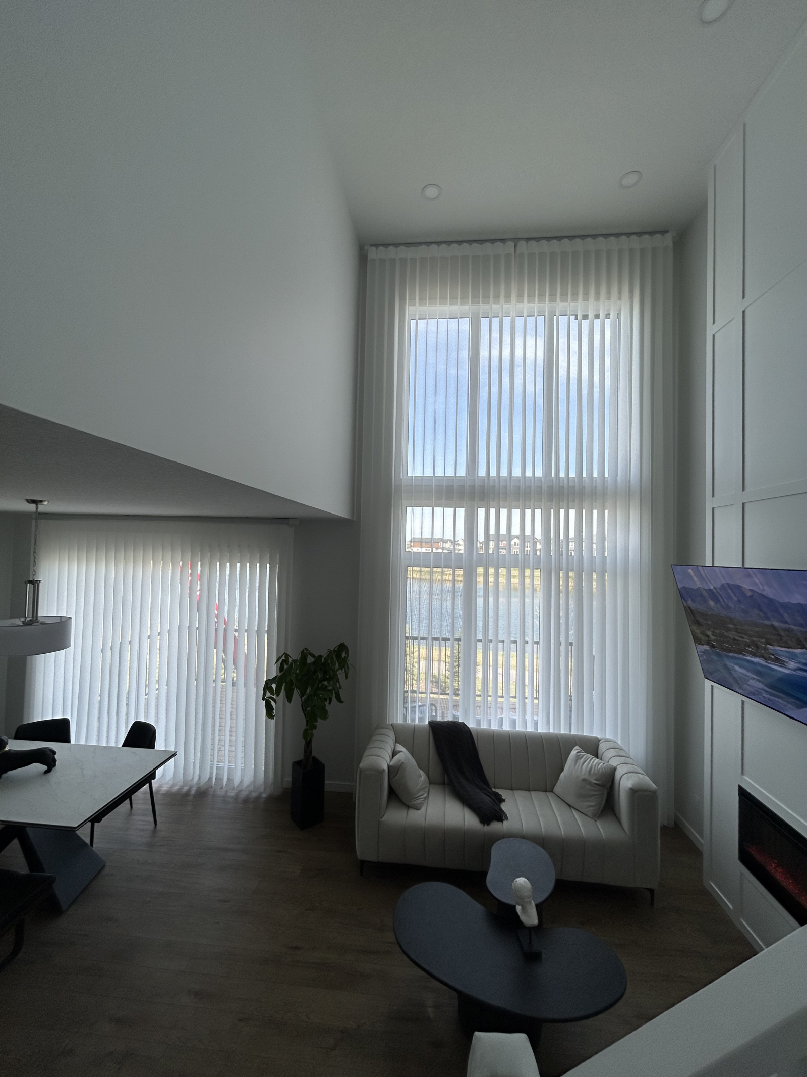 Living room with Oled TV