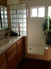 Master Bathroom, walk-in shower, double sinks, jacuzzi bath, toilet.