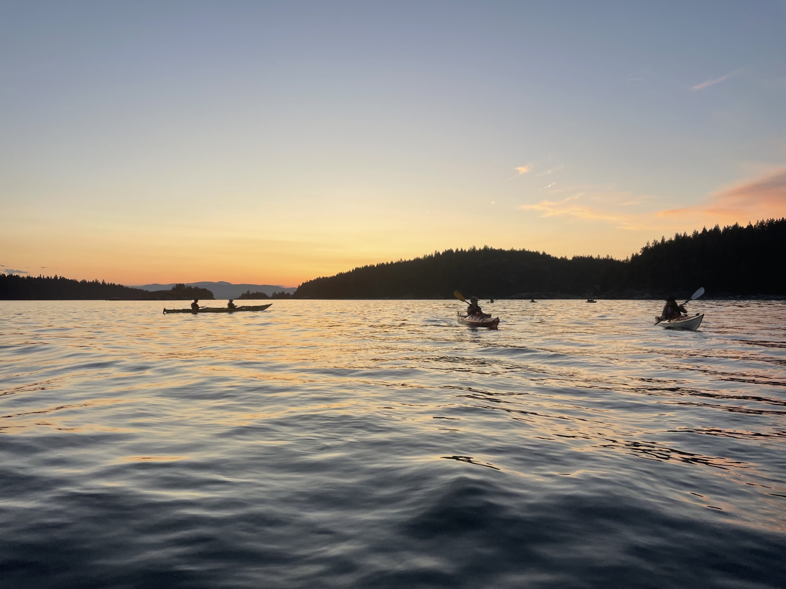 Tour en kayak al atardecer en la isla Cortes.