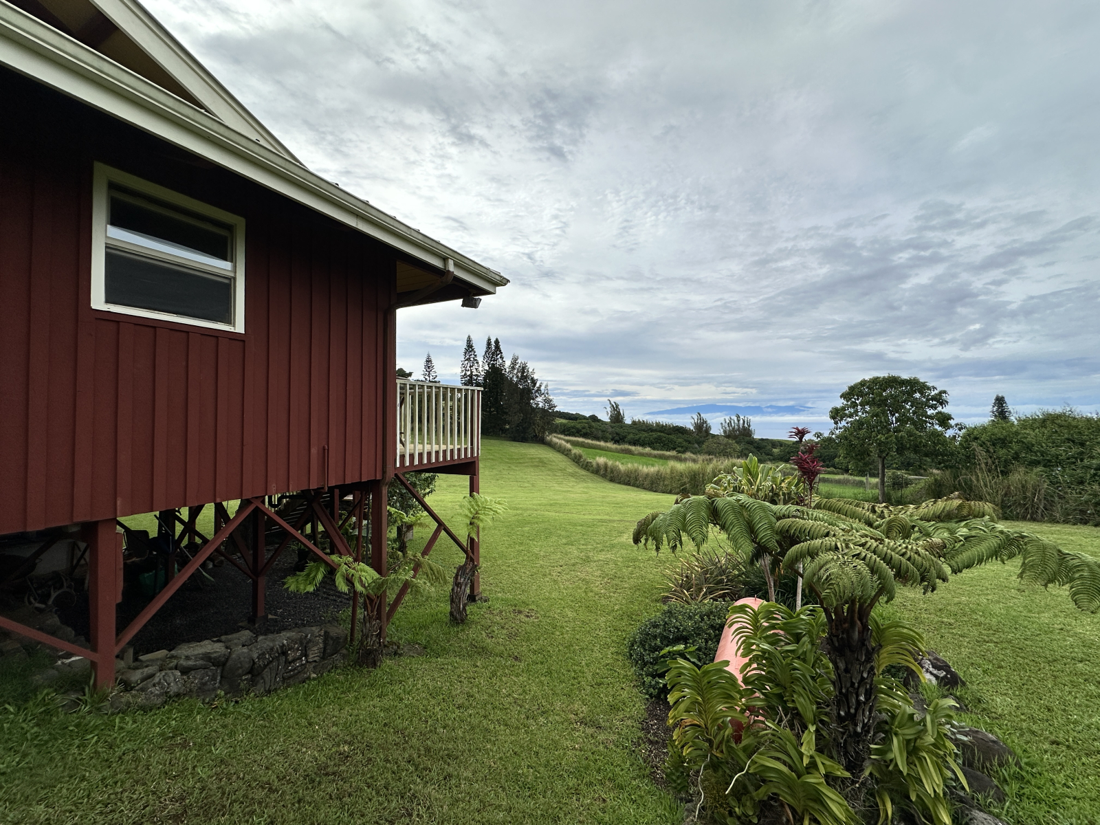 Landleben in Nord-Kohala auf der Big Island