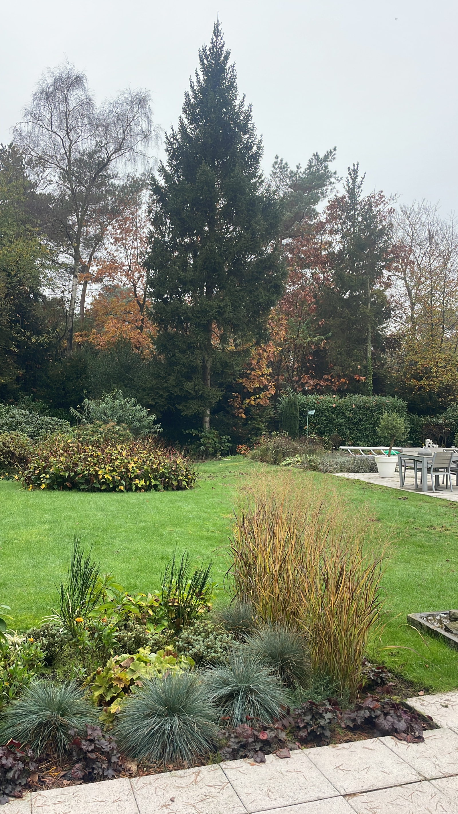 Oasis of peace with swimming pool in the green!