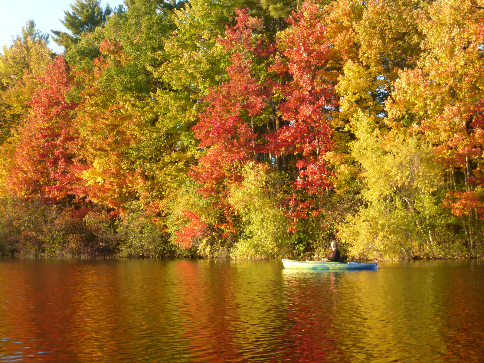 Uno dei 5 kayak disponibili