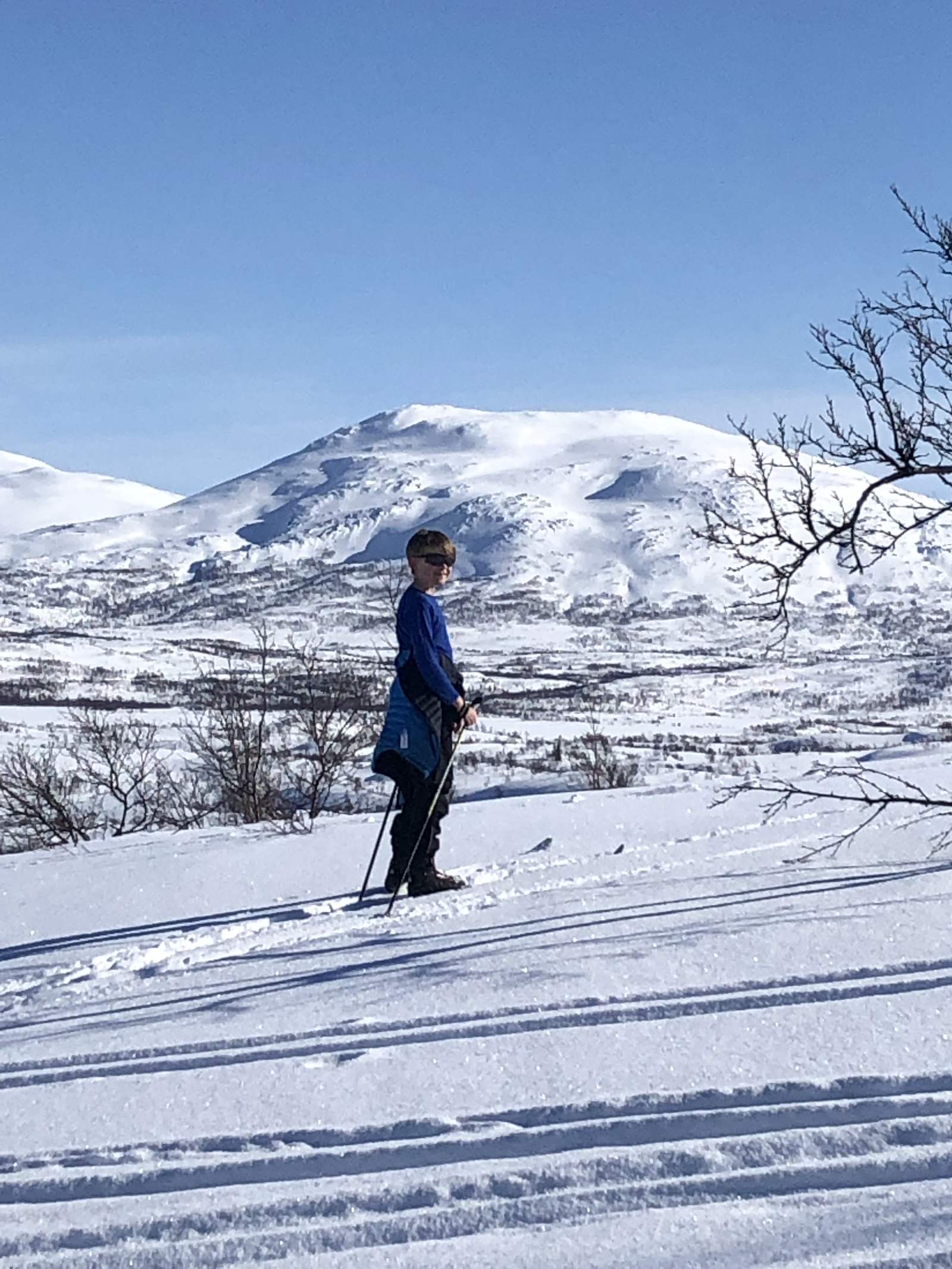 Inverno na área de Umbukta, na fronteira com a Suécia - 40 minutos de carro da casa.
