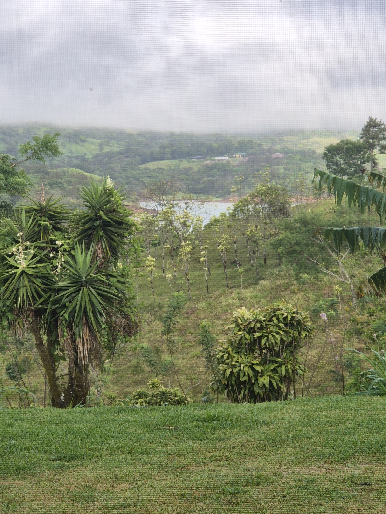 Lichterfülltes Häuschen am Lake Arenal
