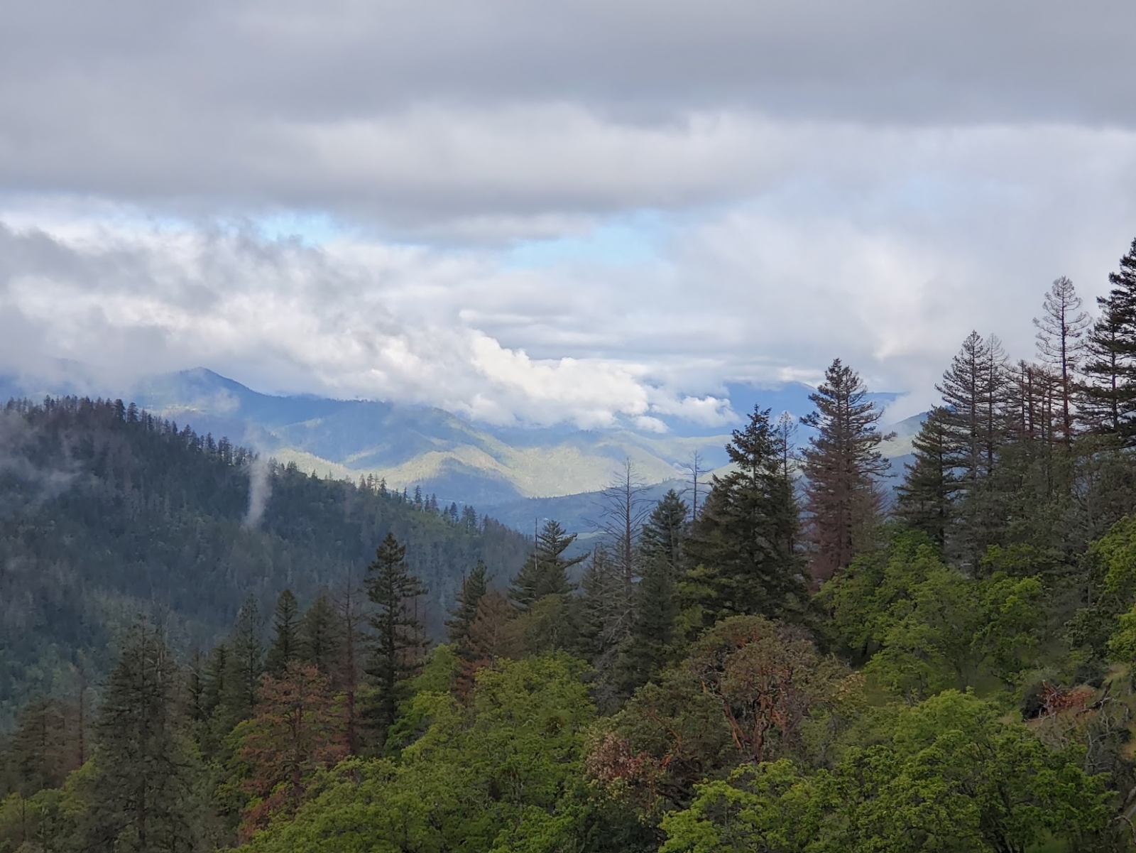 Escursione sulla cresta di East Applegate