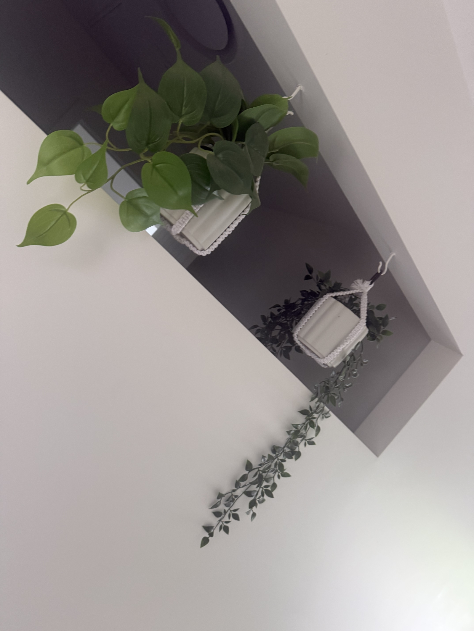 4brm house in inner Brisbane (Camp Hill)
