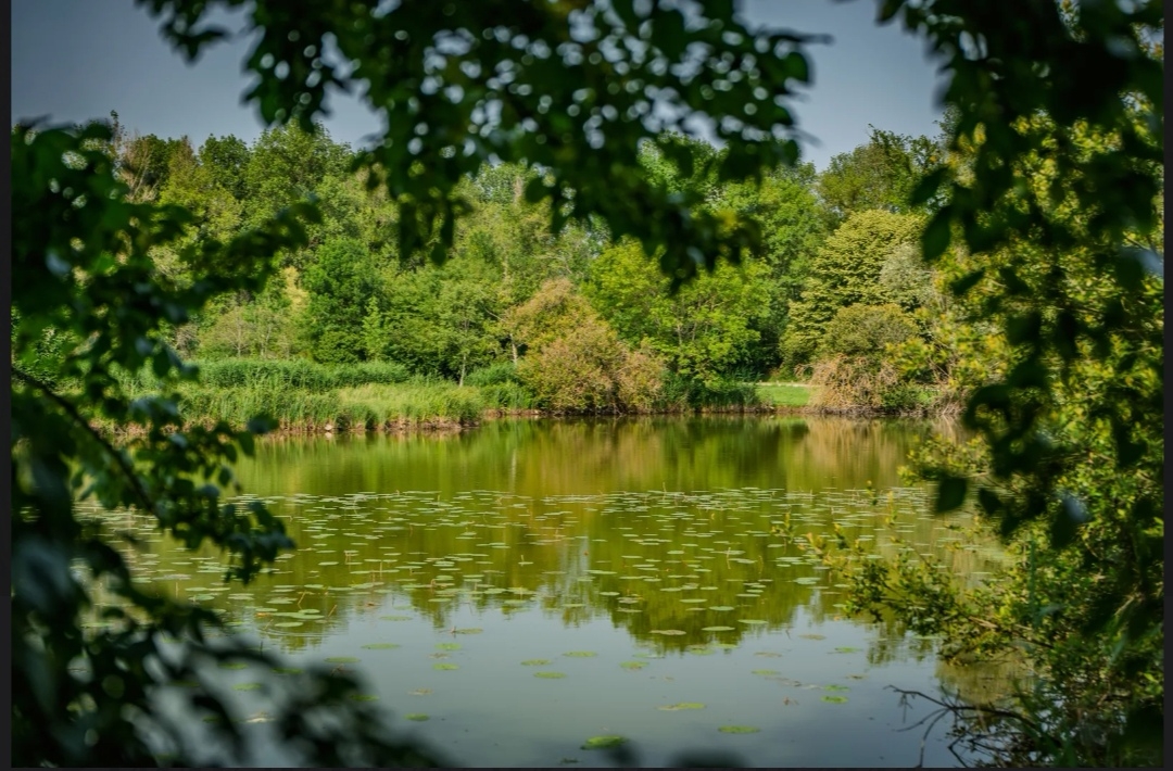 Verneuil lake 5 minutes away by car