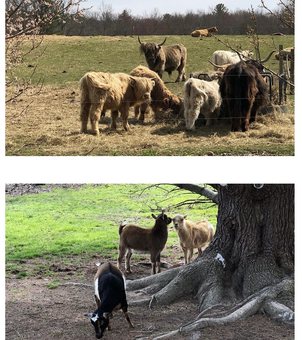 June Farms : 30 minutes away