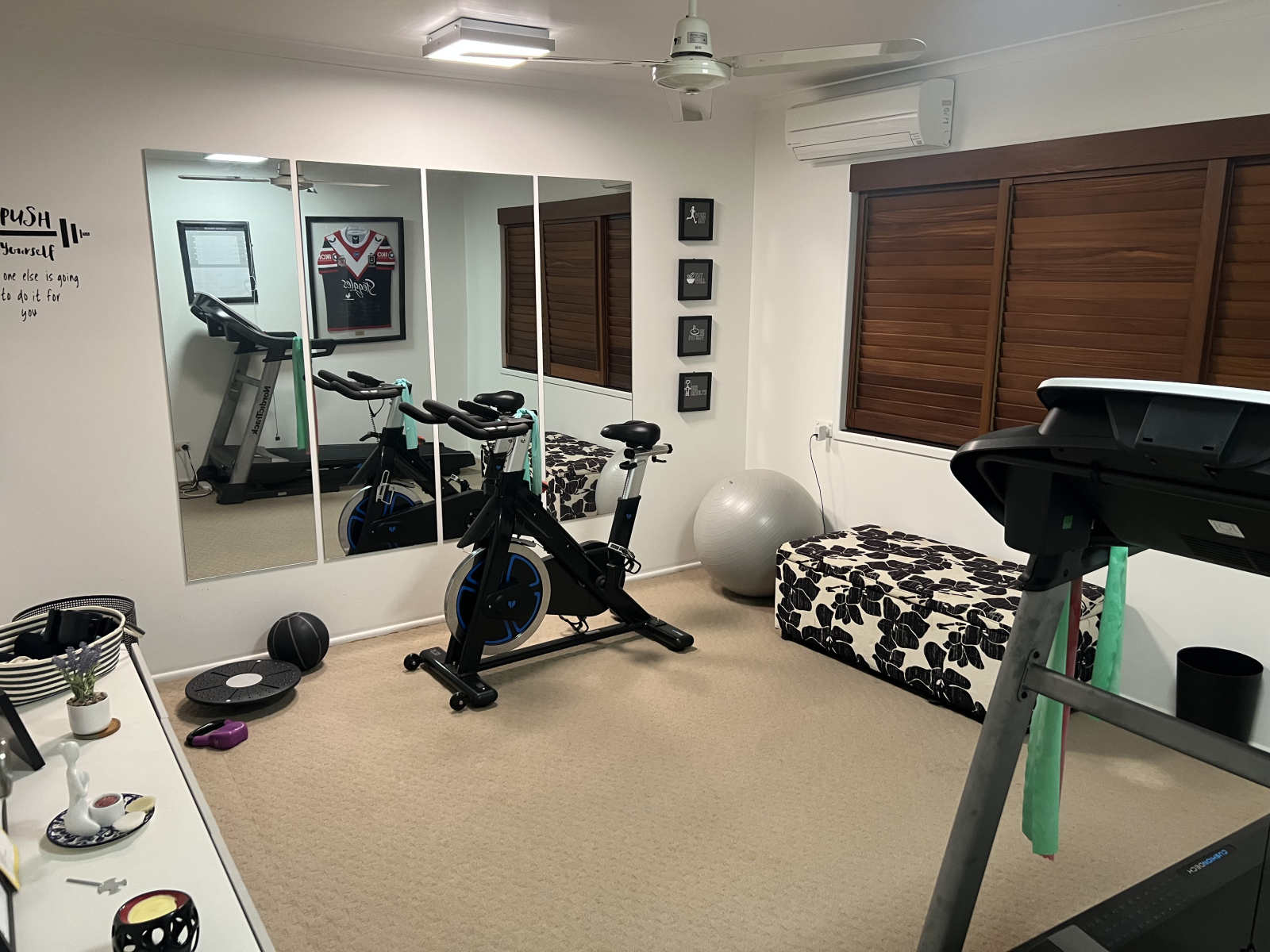 Exercise room with spin bike and treadmill
