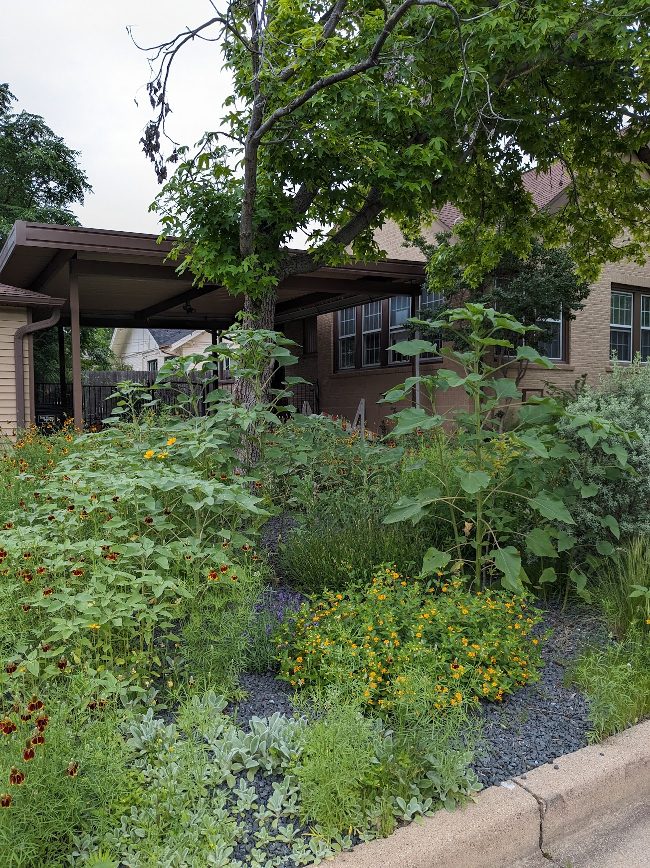 Family friendly home in the heart of Fort Worth