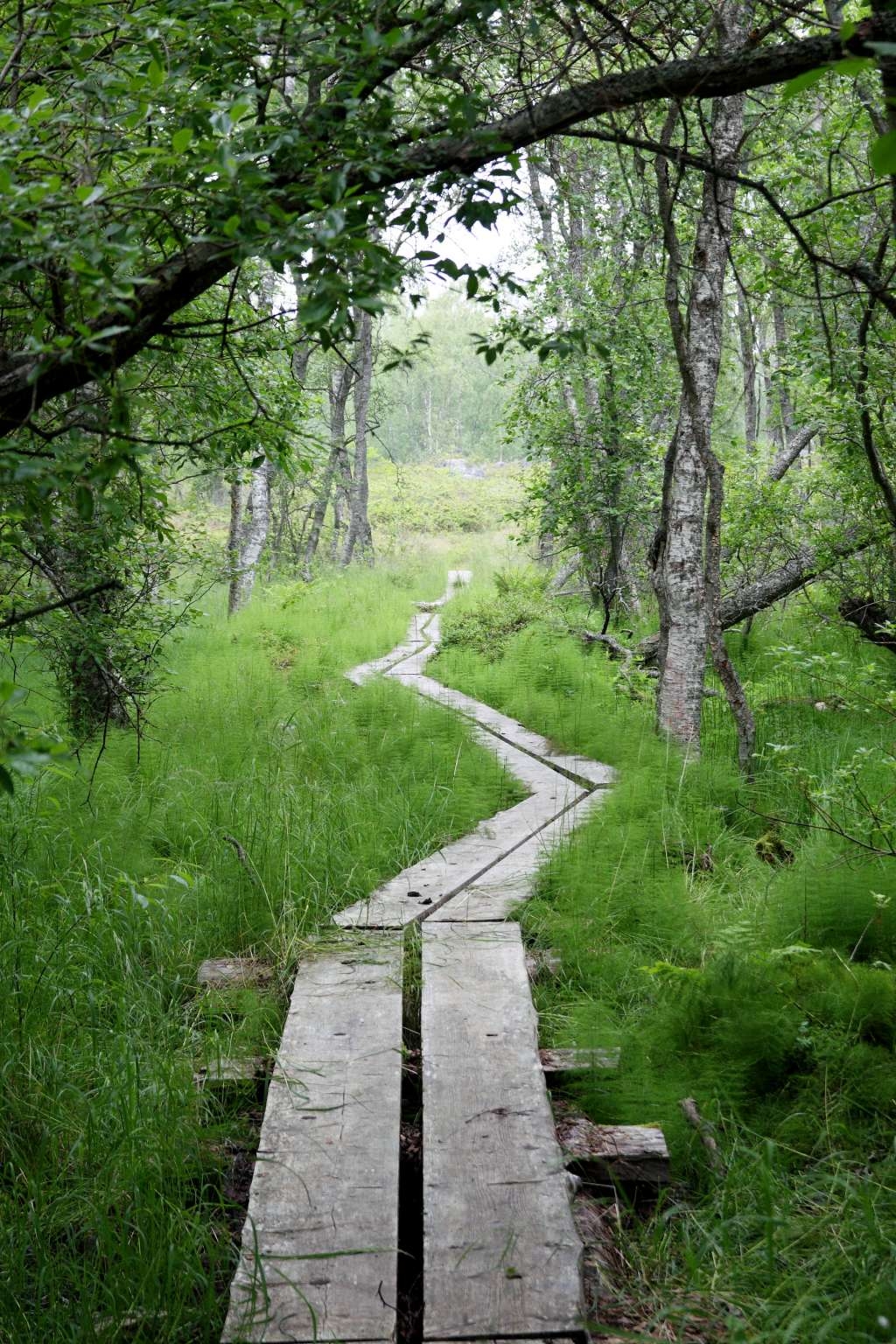 Una casa indipendente accanto alla natura e all'acqua, con ottimi collegamenti di trasporto."