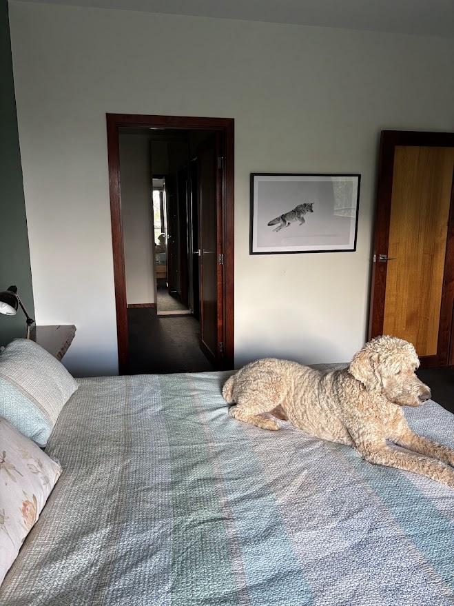 Thuis in de heuvels met uitzicht over de Yarra Valley en de skyline van het CBD, prachtige zonsondergangen en mini-geiten! <1 uur vanaf het stadscentrum