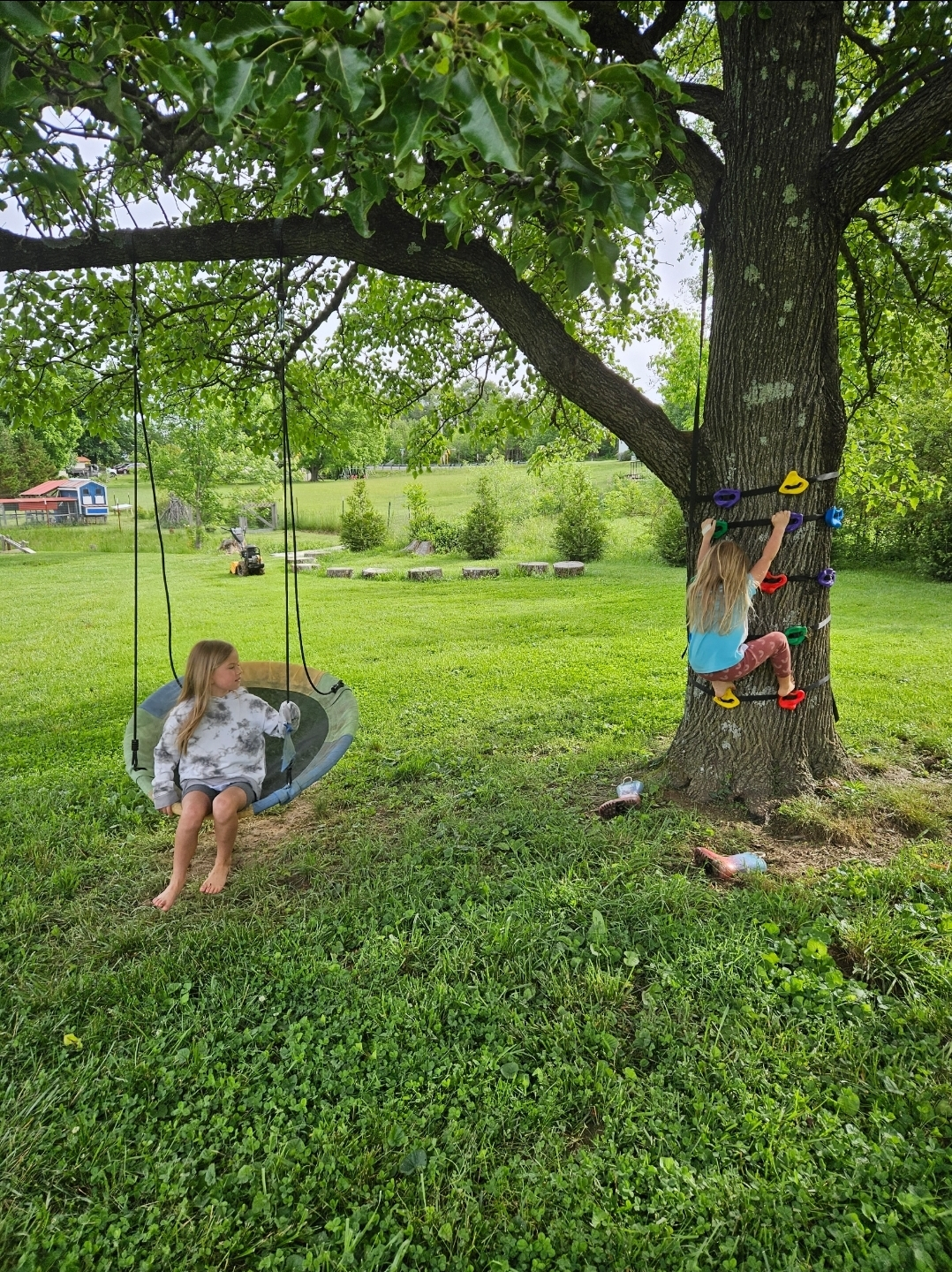 Balançoire et arbre grimpant pour les enfants. À côté du jardin.