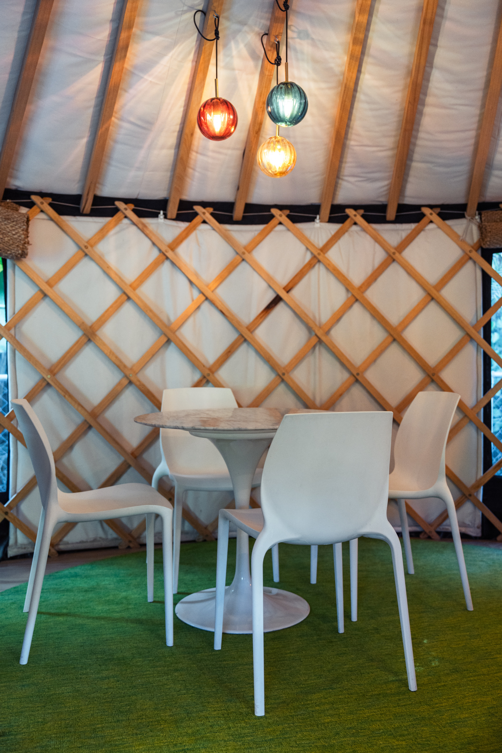 YURT surrounded by trees