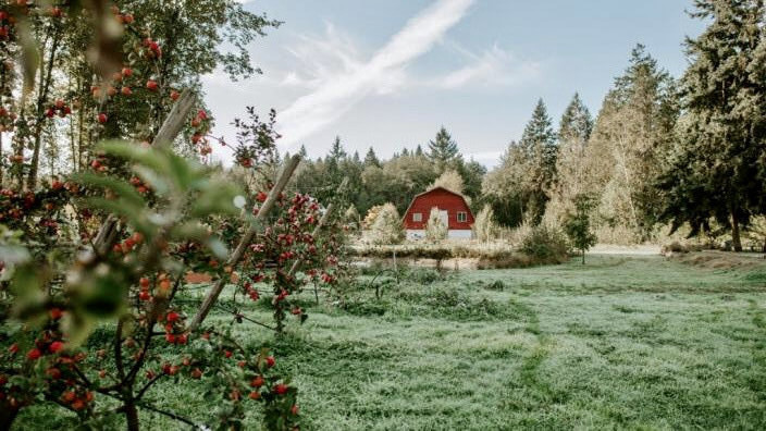 And our family friendly cideries