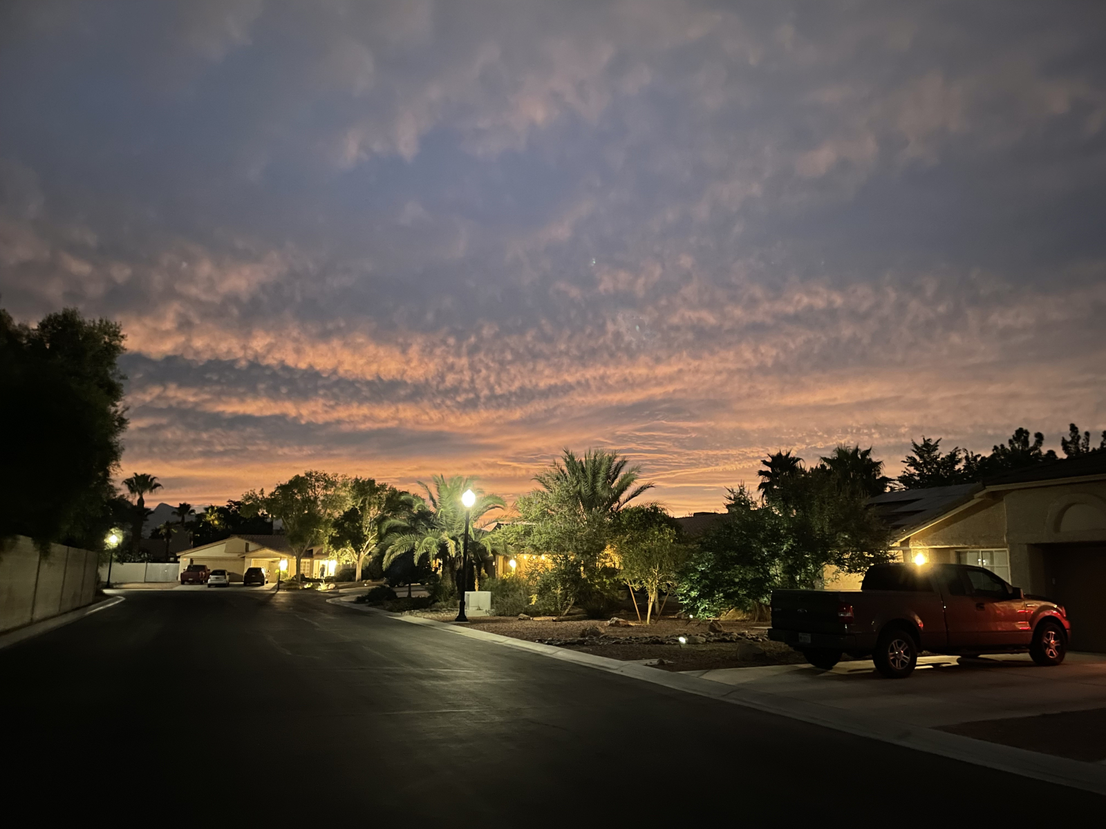 Questa magnifica foto è stata scattata fuori casa nostra, dalla nostra strada. Li vediamo spesso e q ...