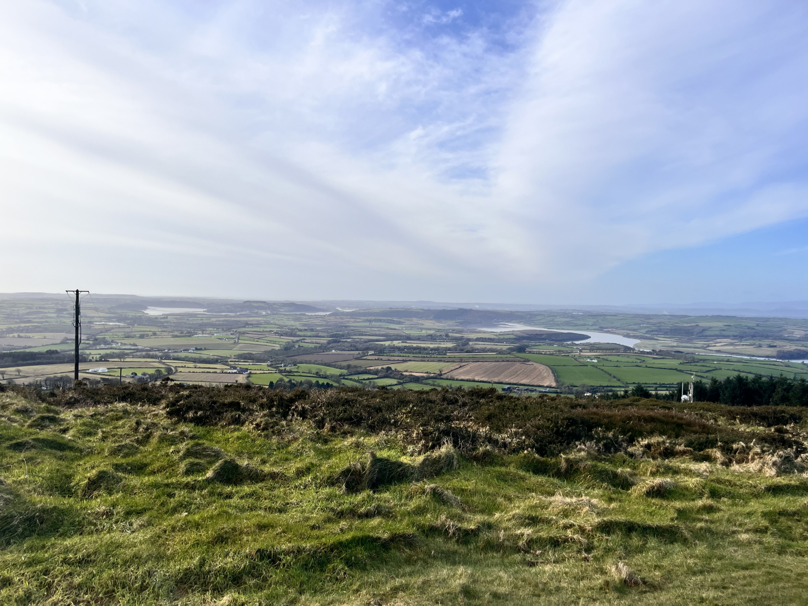 This is the view from the top of the J.F Kennedy Arboretum