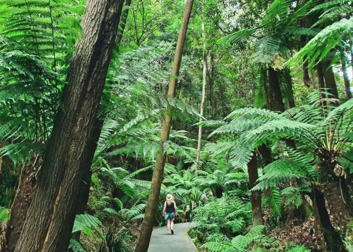 Jardines Botánicos Nacionales de Australia (Copyright, The Travel Vine)
