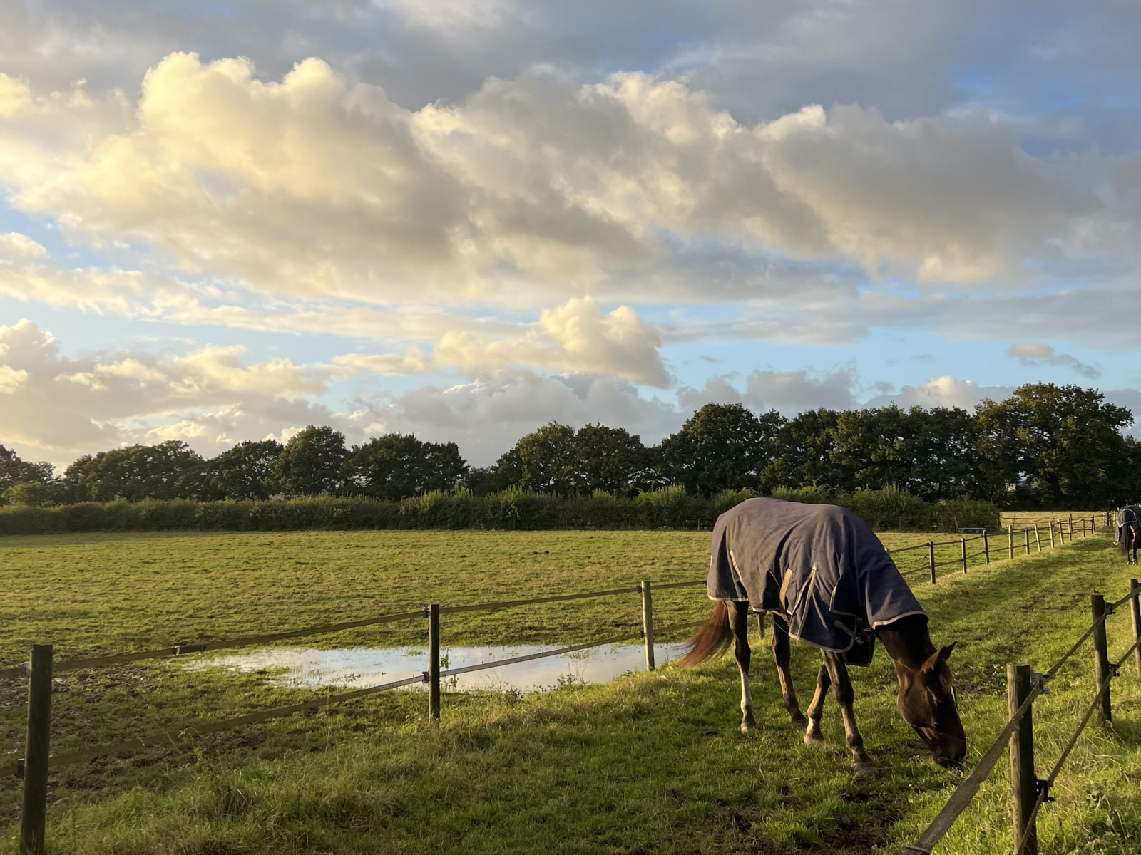 Sentiero, diritto di passaggio pubblico, attraverso i campi limitrofi del centro ippico