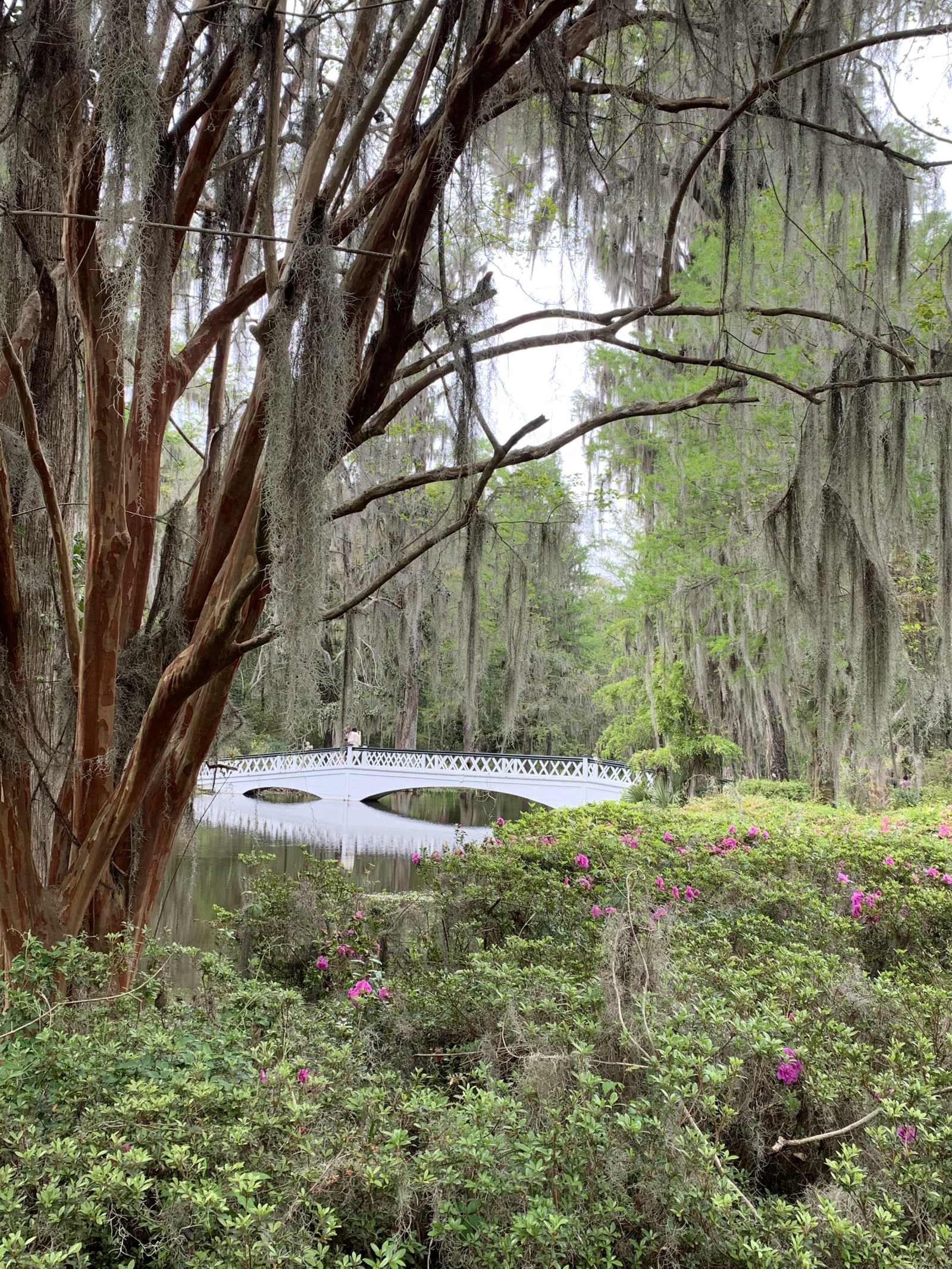 Renovated Charleston Home with Beautiful Water Views, Close to Historic Downtown & Beaches