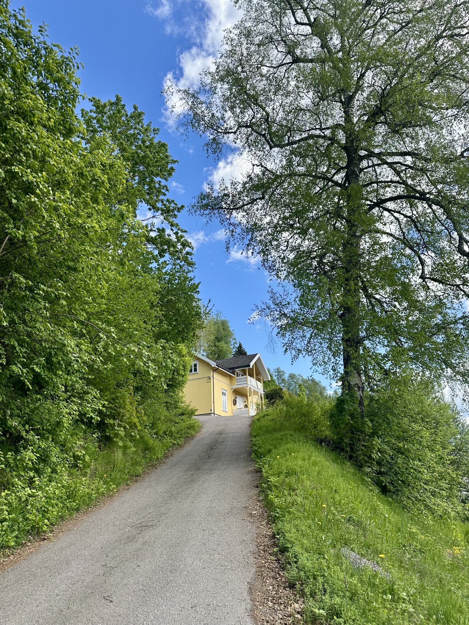 Entrada para nossa casa