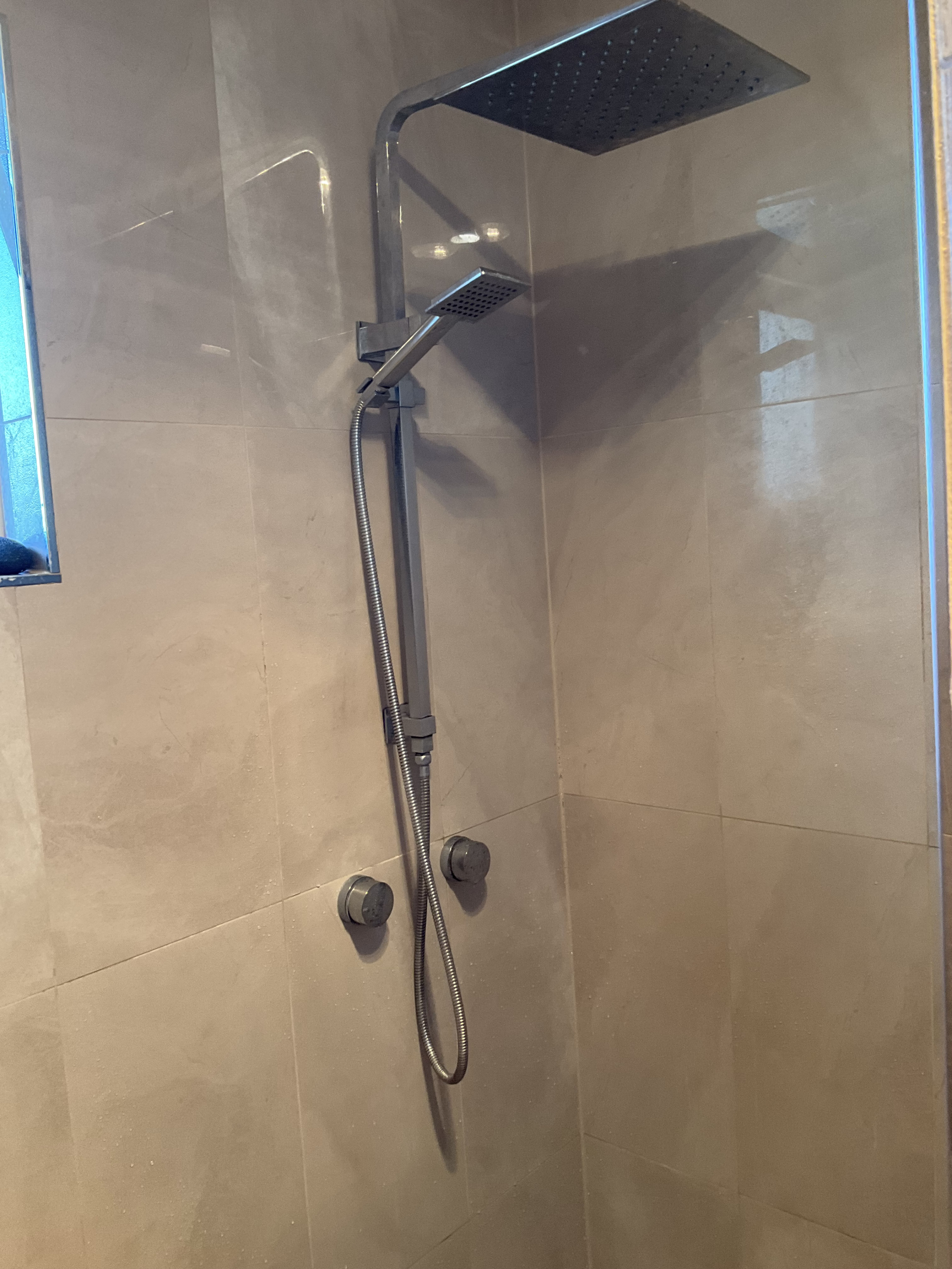 Rain head and hand held shower