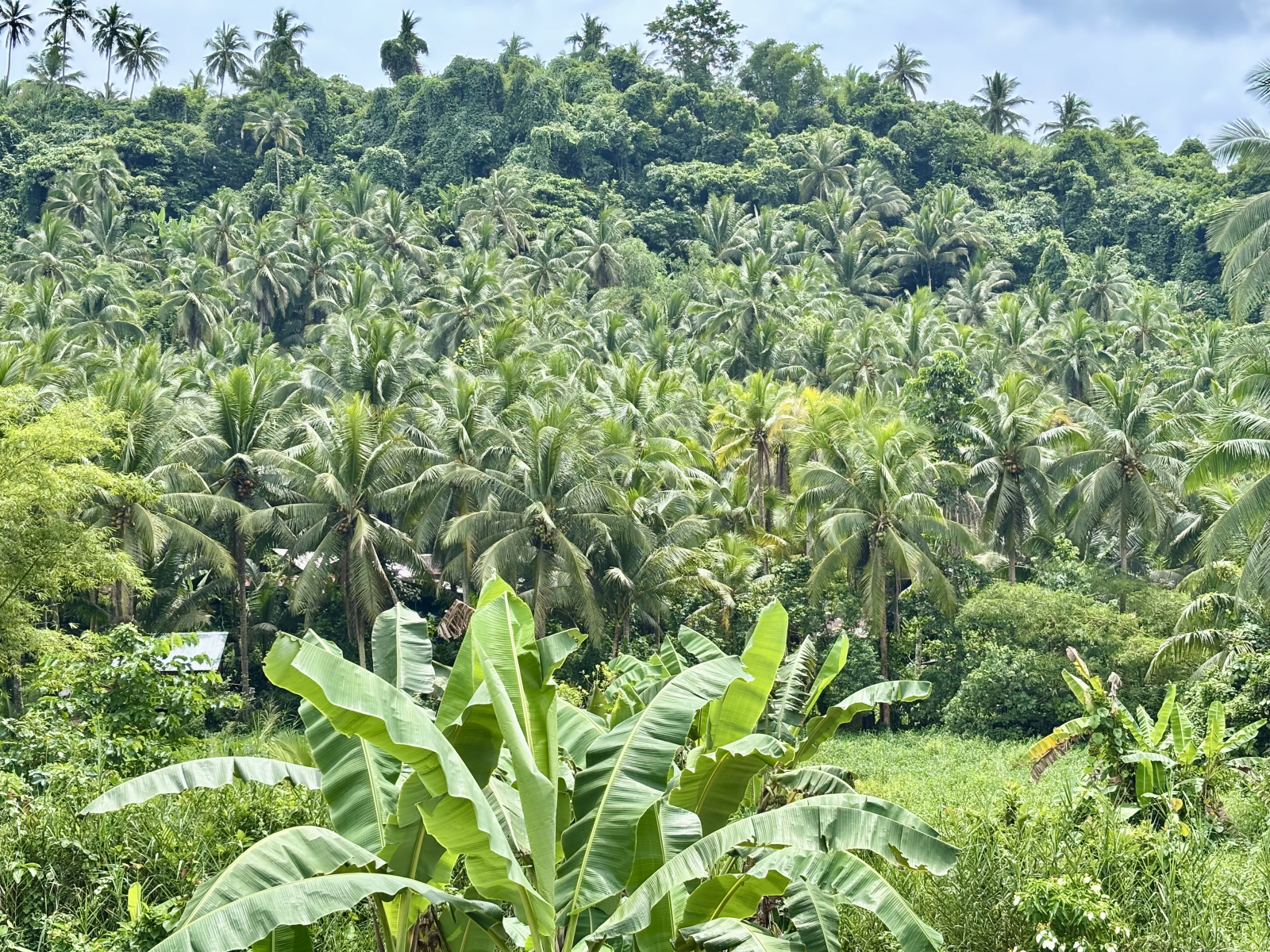 Uitzicht vanuit het slaapkamerraam