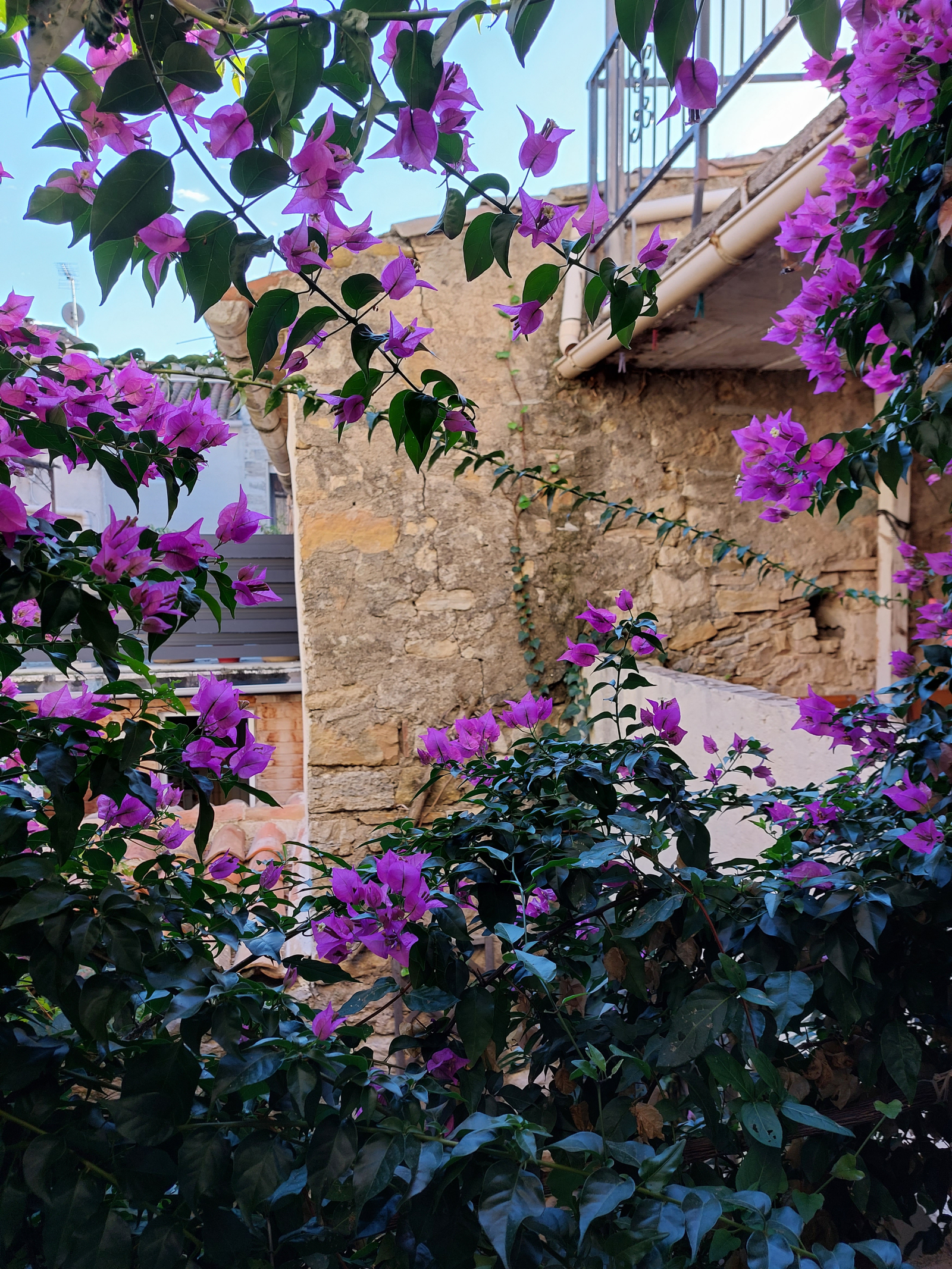 Terras vanaf de slaapkamer