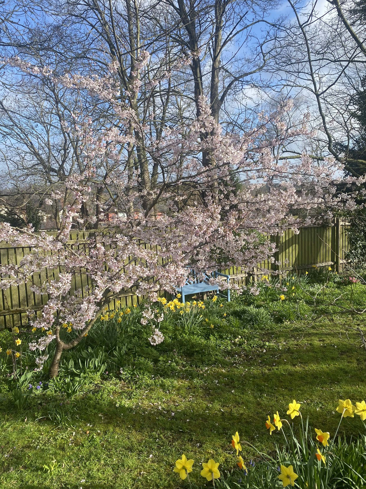 Large Communal garden