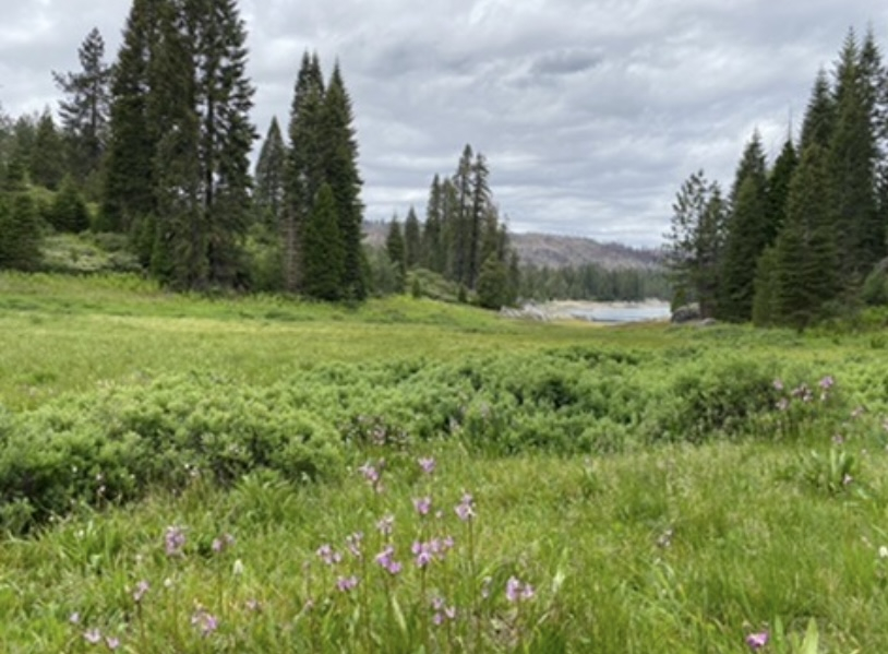 Caminhada no Lago Shaver