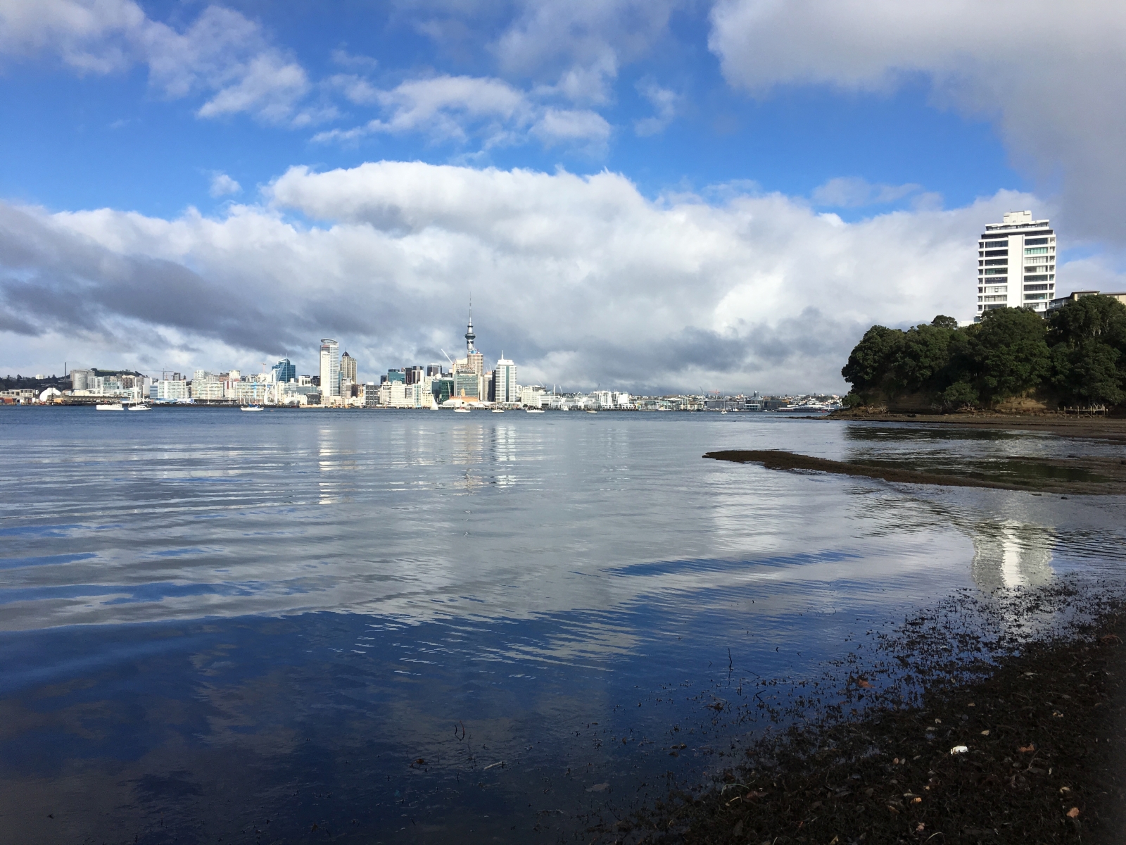 Auckland's central city is just across the harbour (via ferry or bridge).