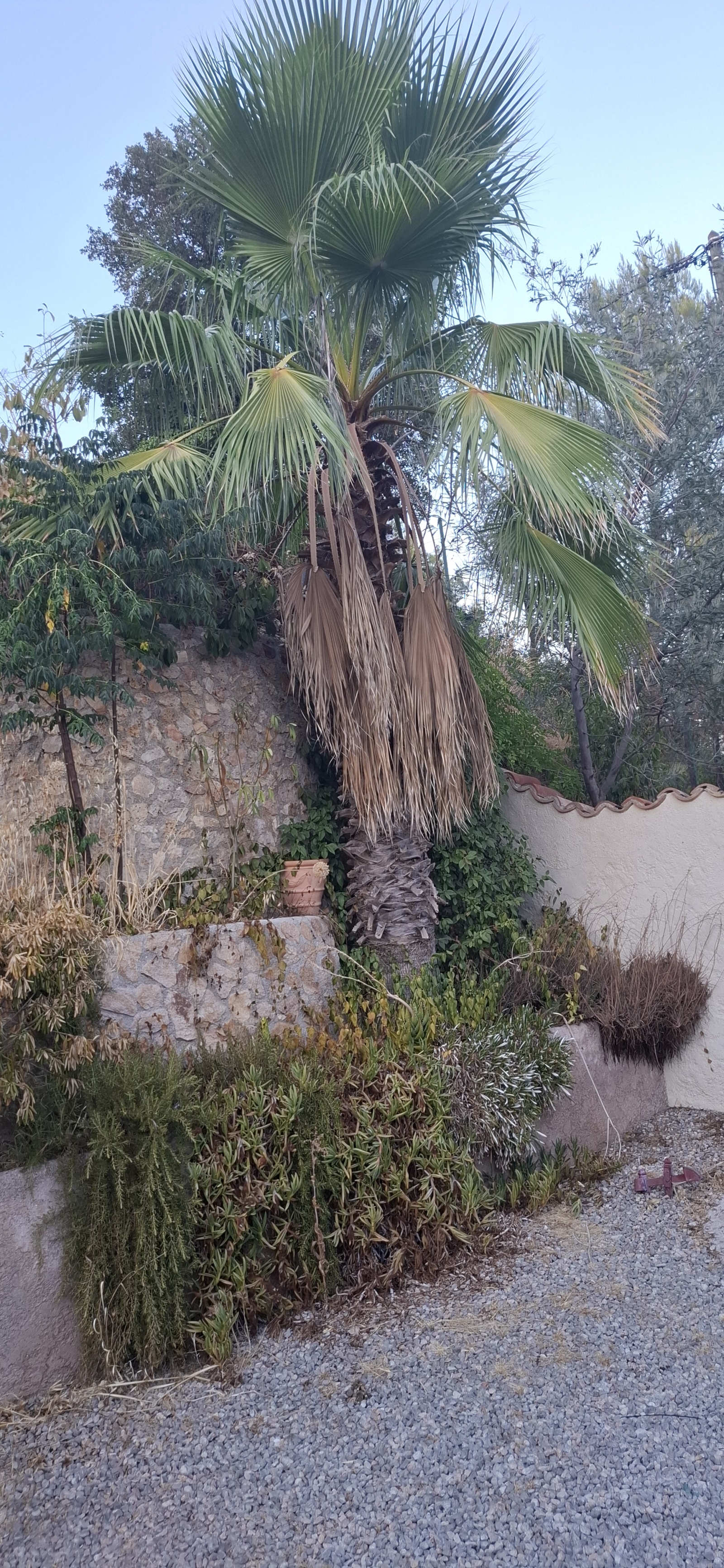 House + large studio in the South of France
