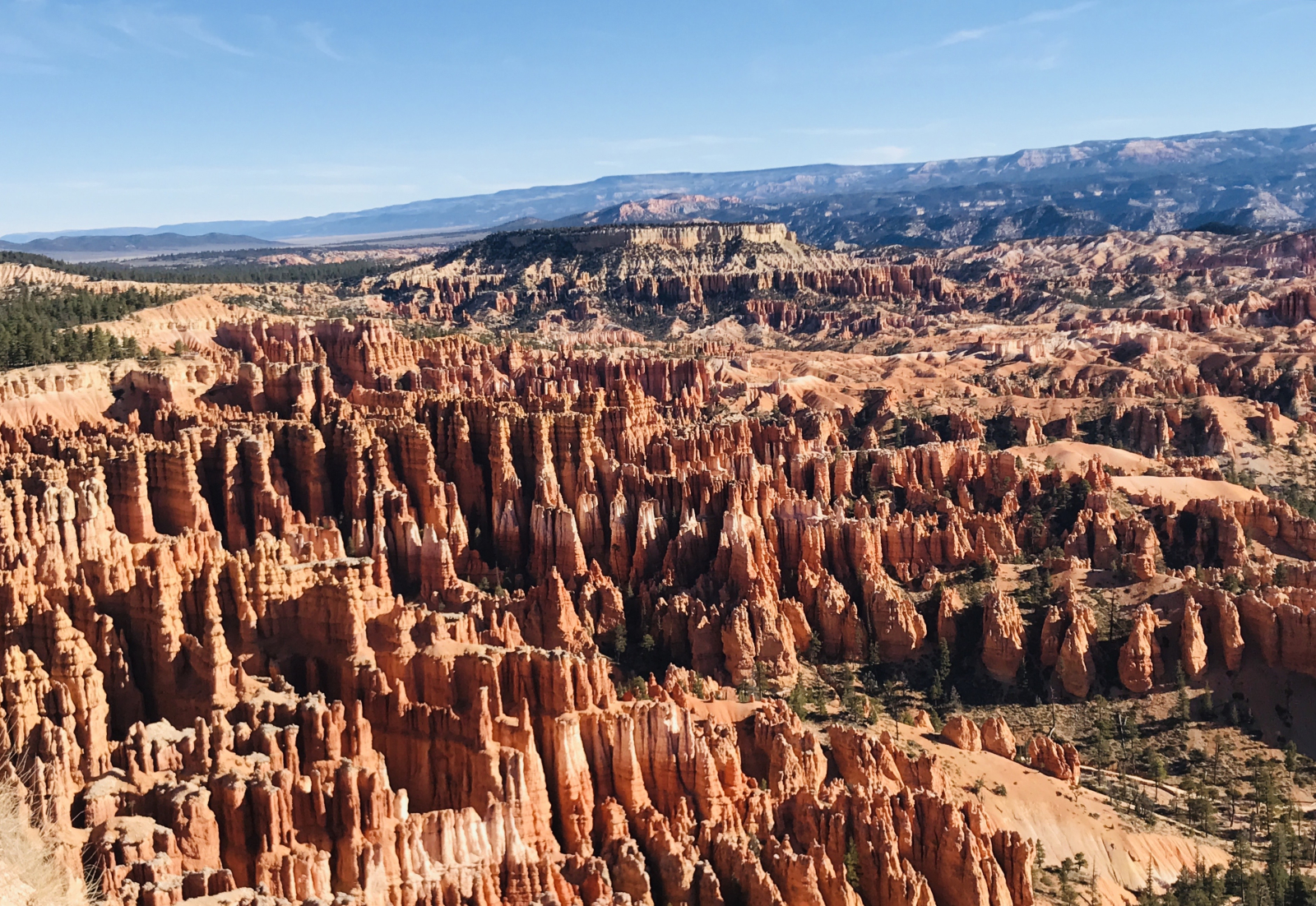 Bryce Canyon è famoso per le sue torri guglie naturali in pietra scolpite dal vento, dall'acqua e da ...