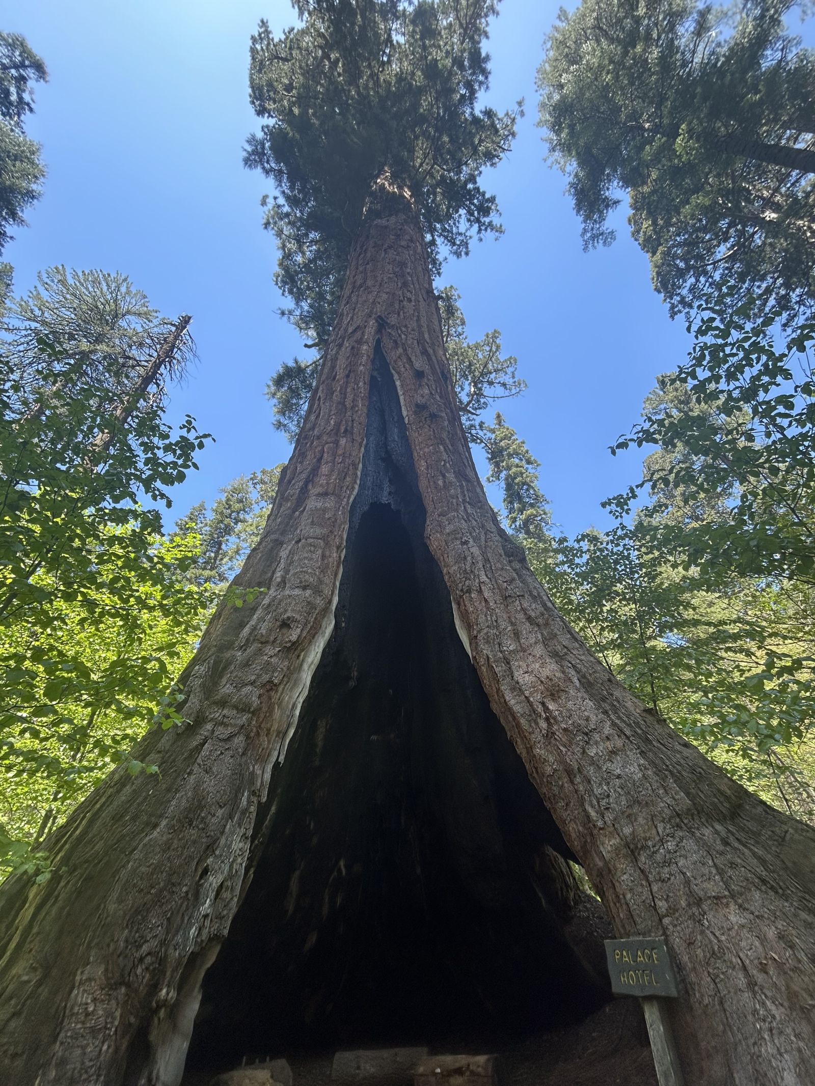 Large cabin wineries, forests, ski resort and lakes nearby