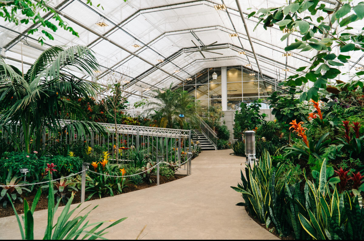 Butterfly Biosphere- Beautiful Costa Rican butterflies. Somehow, my son can always get them to land ...