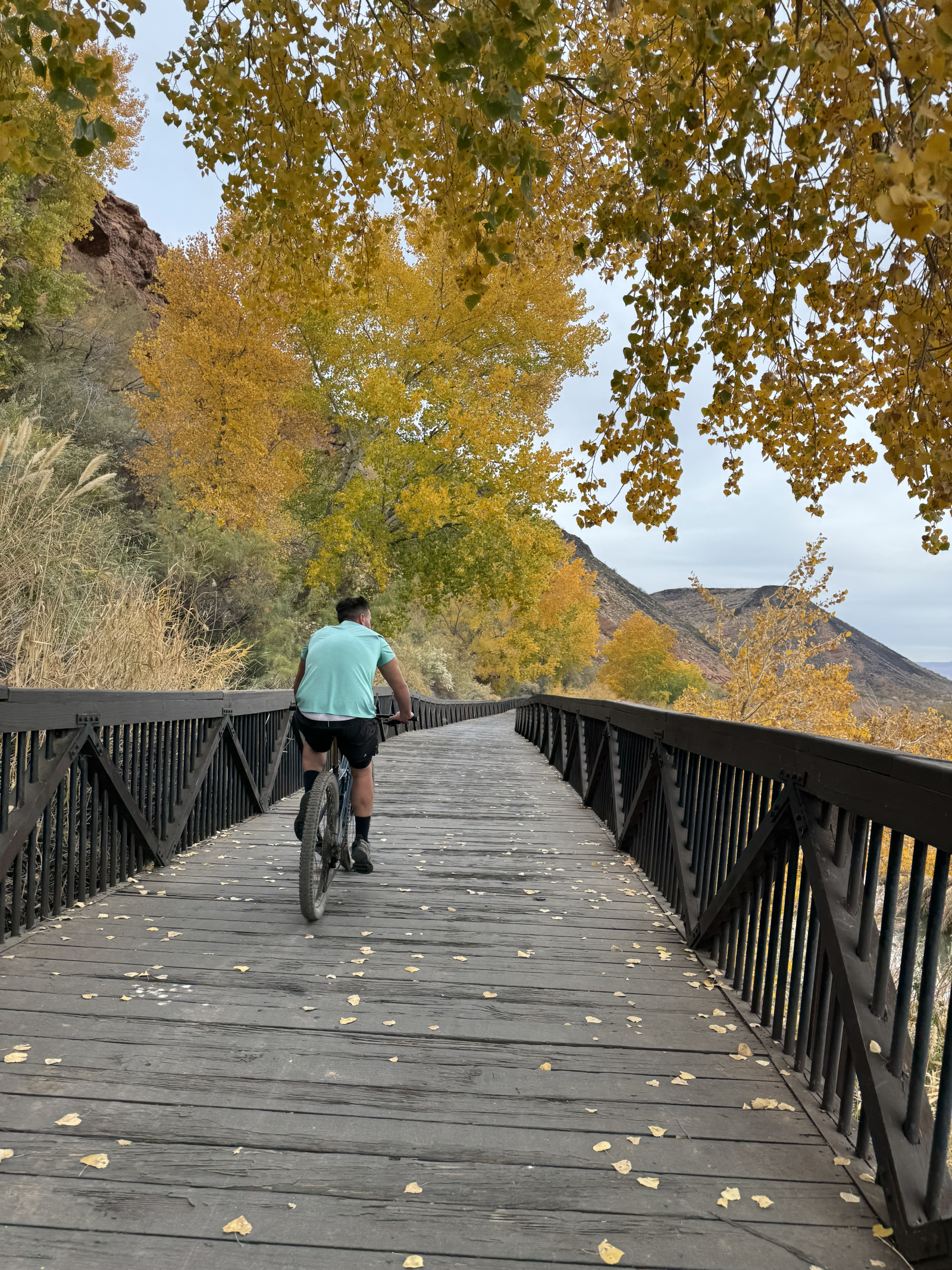 C’est une promenade directement derrière notre maison et de l’autre côté de la rivière — elle fait p ...