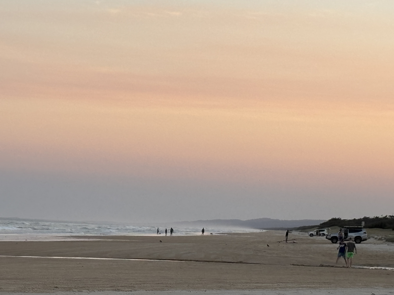 Strande draußen vor unserem Zaun bei Sonnenuntergang.