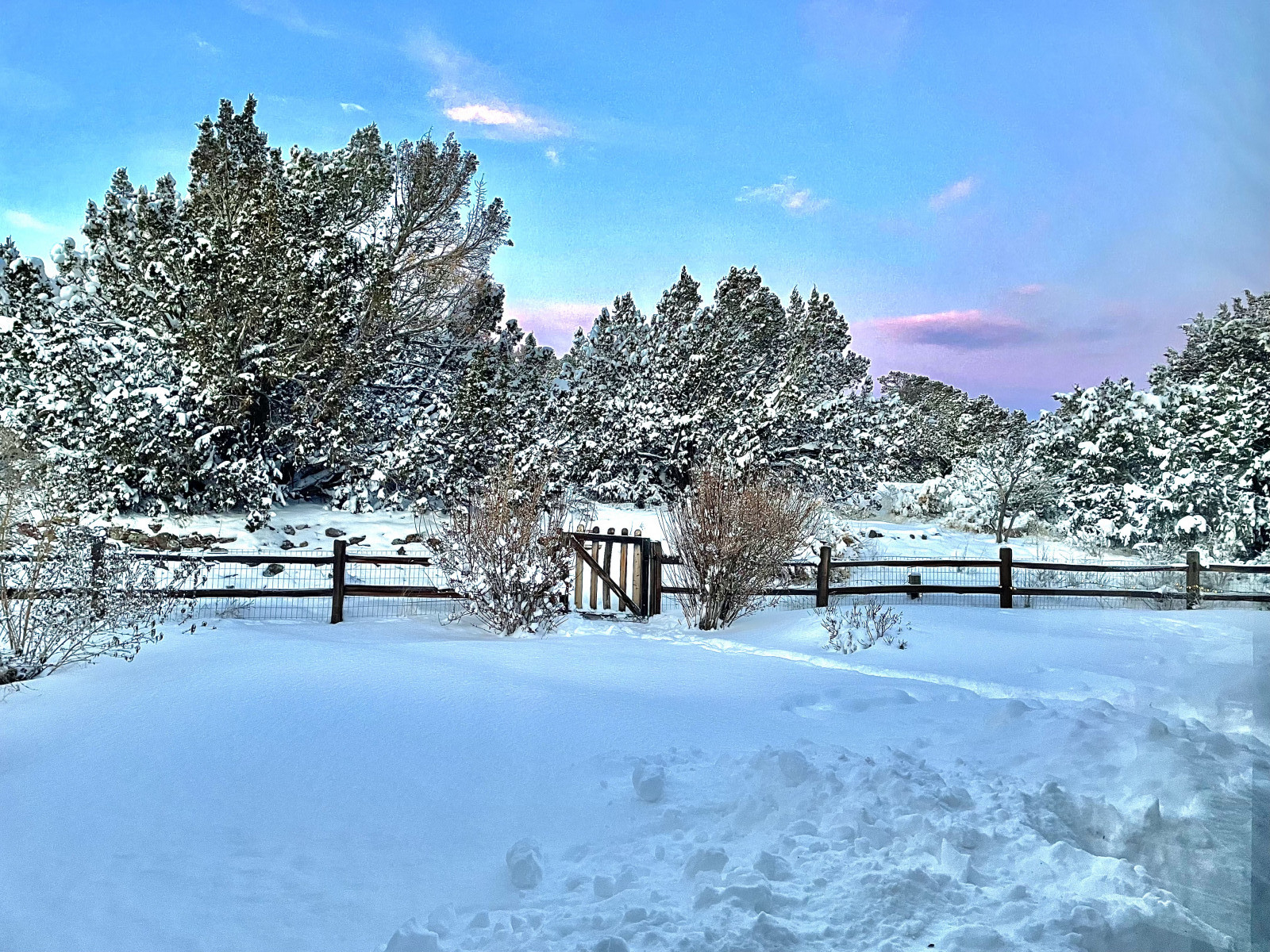 Winter sunrise from the backyard
